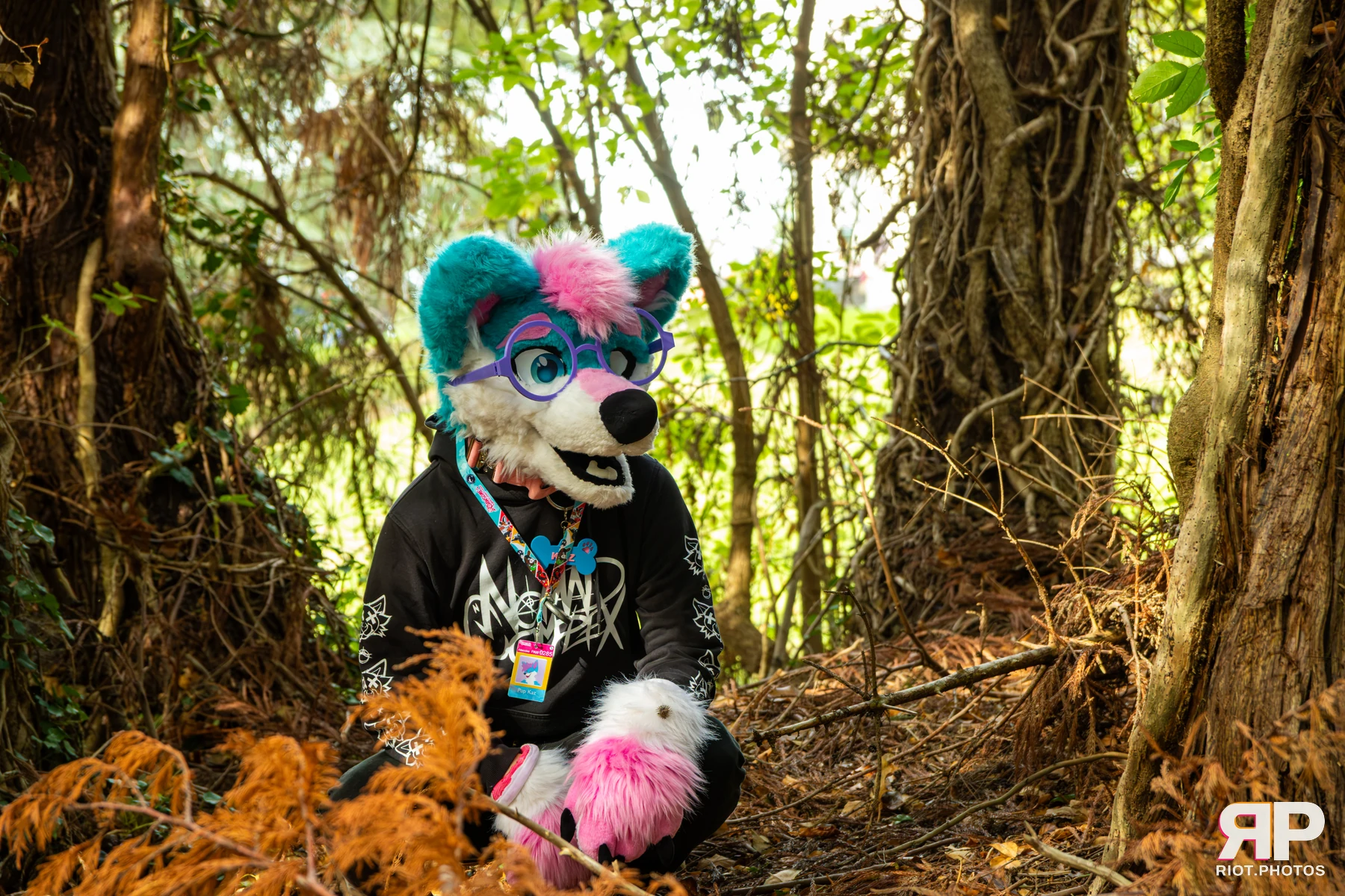 Pup Kaz