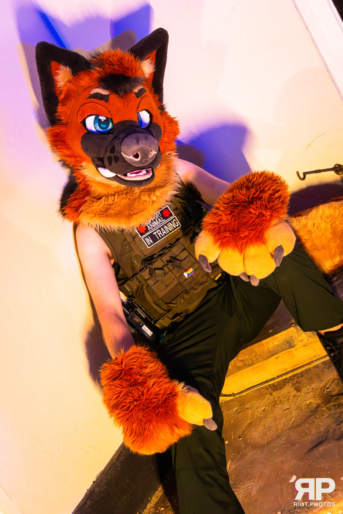 IcyBarks - furry & pup photography by Fluffy Riot - photo 13
