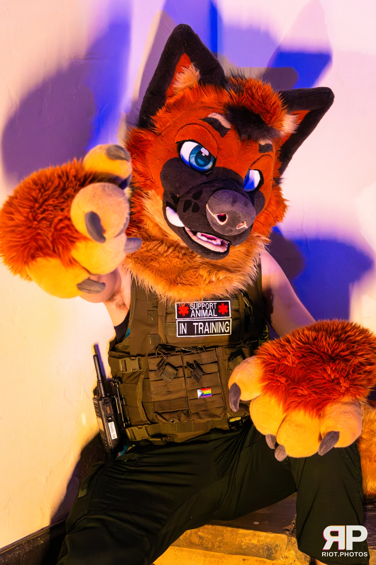 IcyBarks - furry & pup photography by Fluffy Riot - photo 12