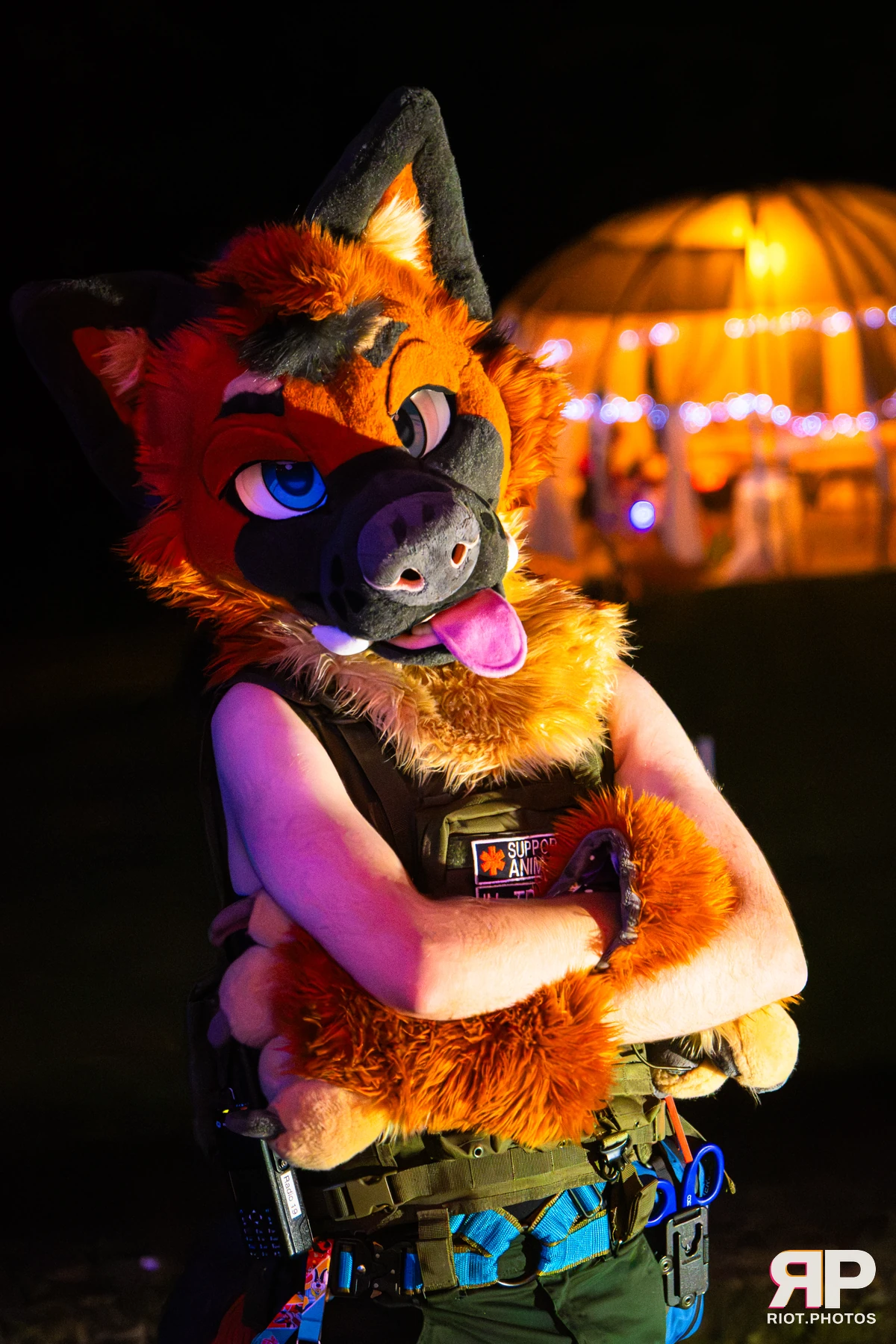 IcyBarks - furry & pup photography by Fluffy Riot - photo 7