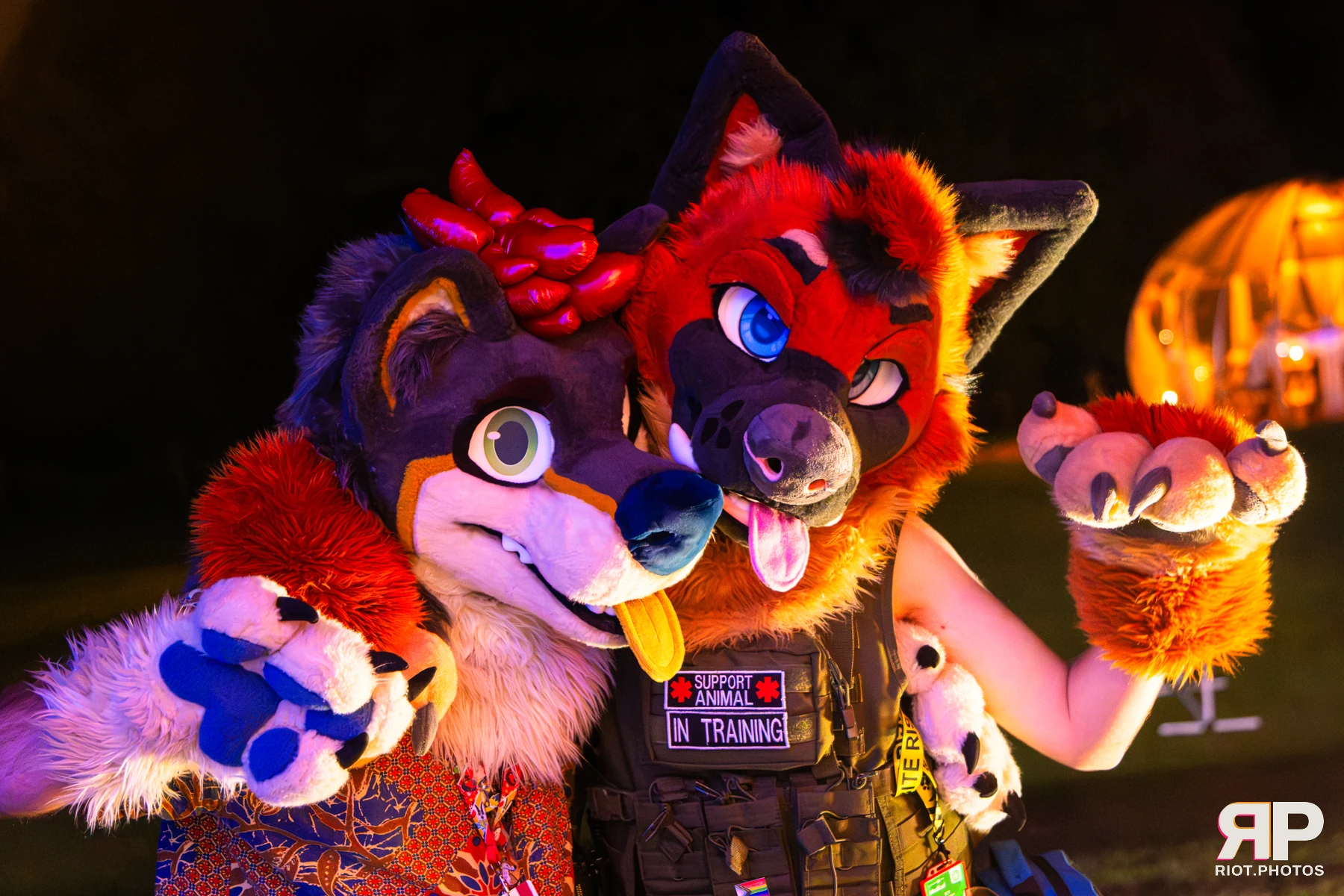 IcyBarks - furry & pup photography by Fluffy Riot - photo 6