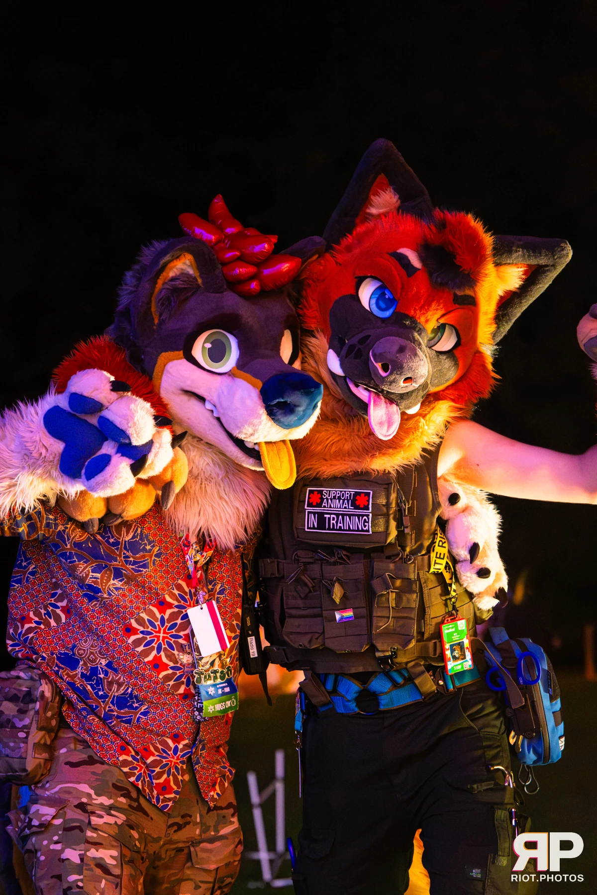 IcyBarks - furry & pup photography by Fluffy Riot - photo 5