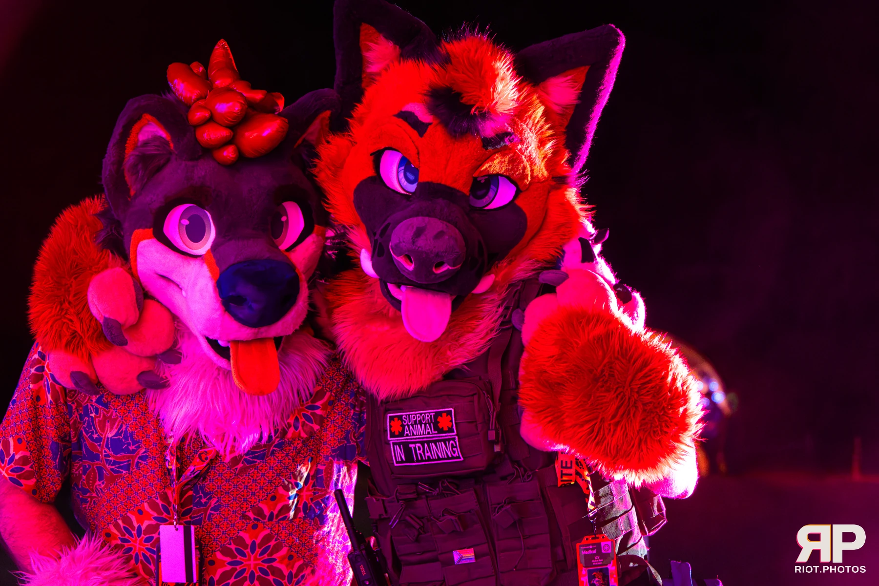 IcyBarks - furry & pup photography by Fluffy Riot - photo 2