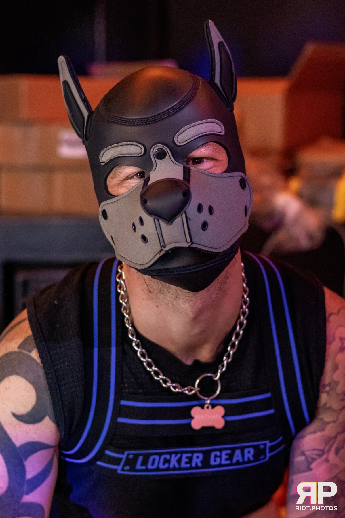 Pup Nathan — furry & pup photography by Fluffy Riot — photo 206