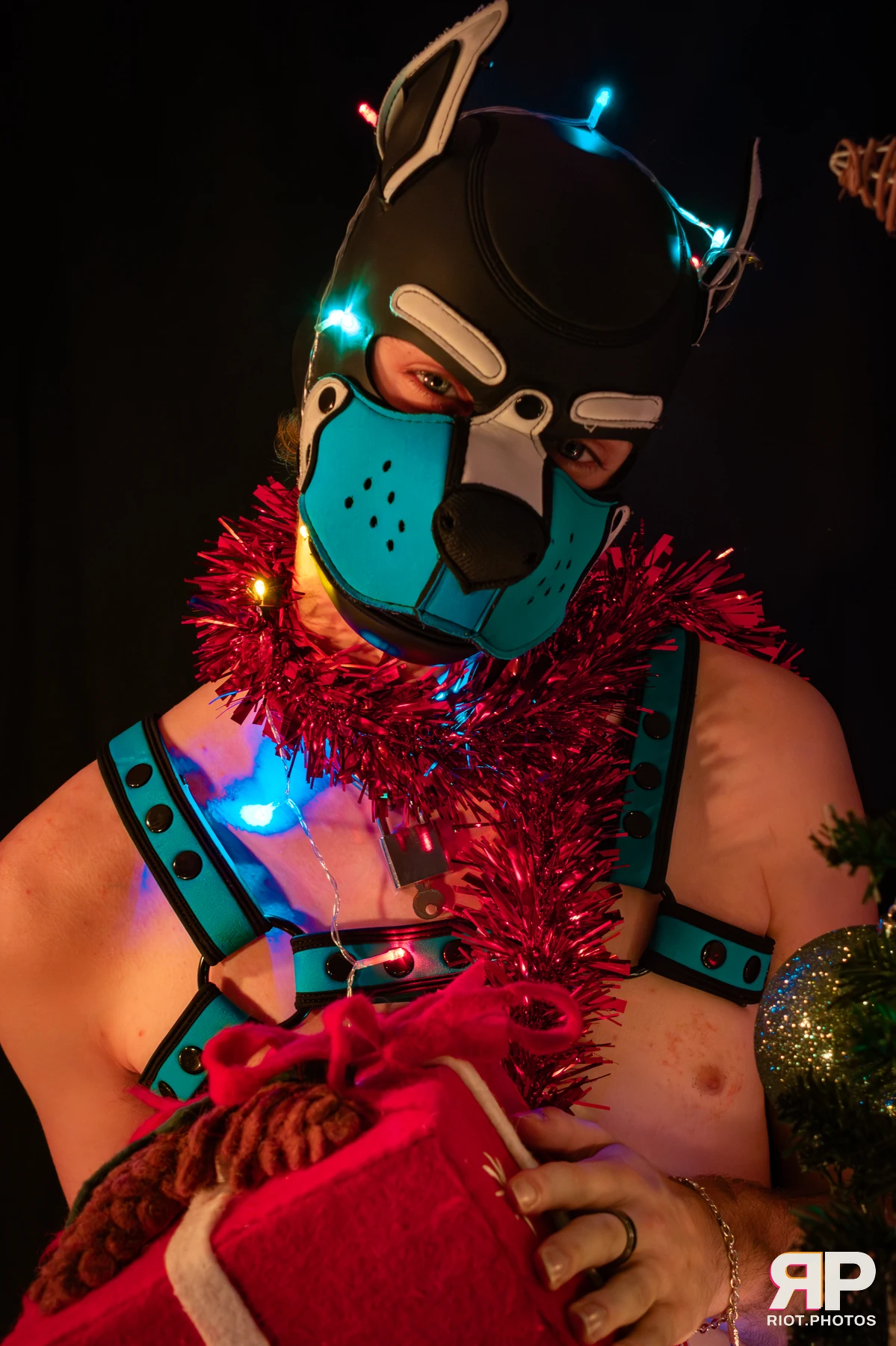 PupMas 2025 — 05 Dec 2025, Fluffy Riot photography — photo 6