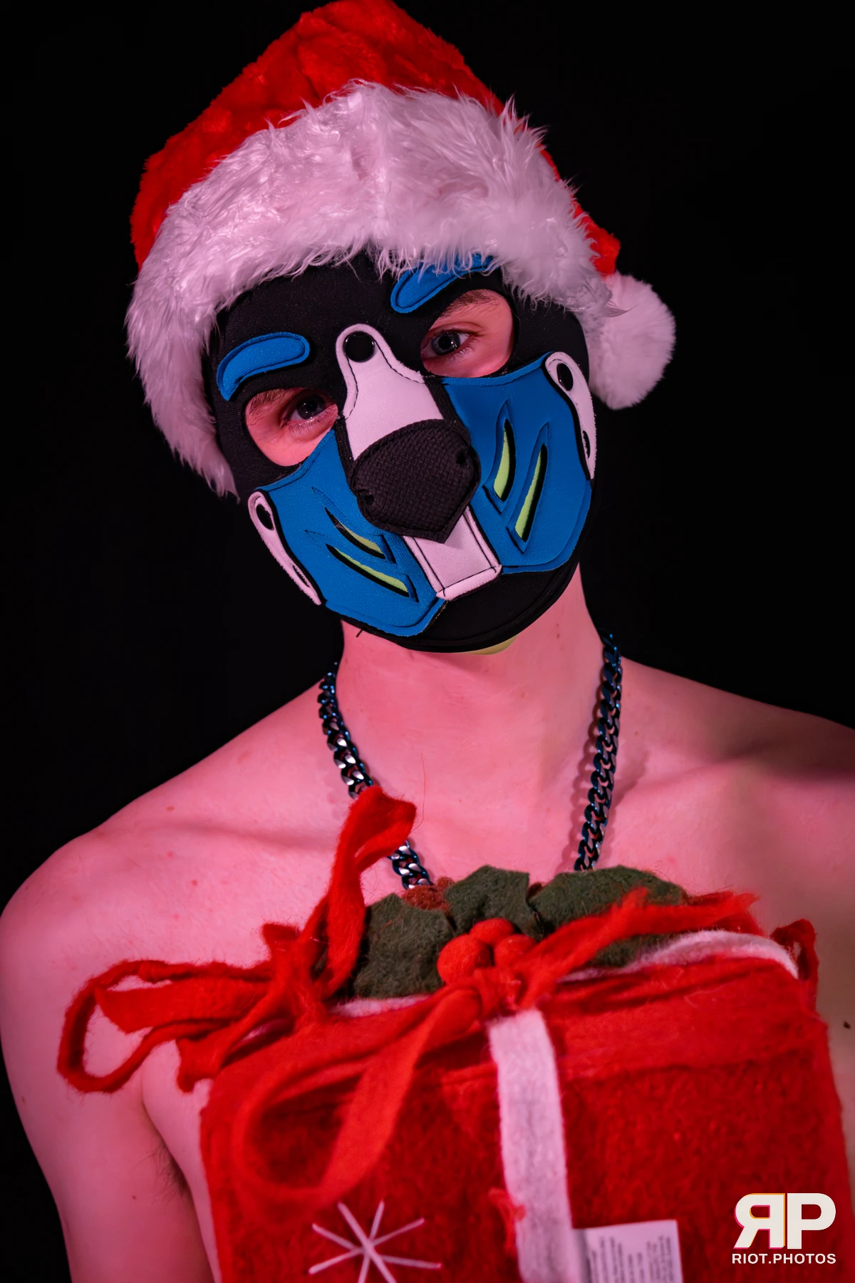 Zaff — furry & pup photography by Fluffy Riot — photo 63