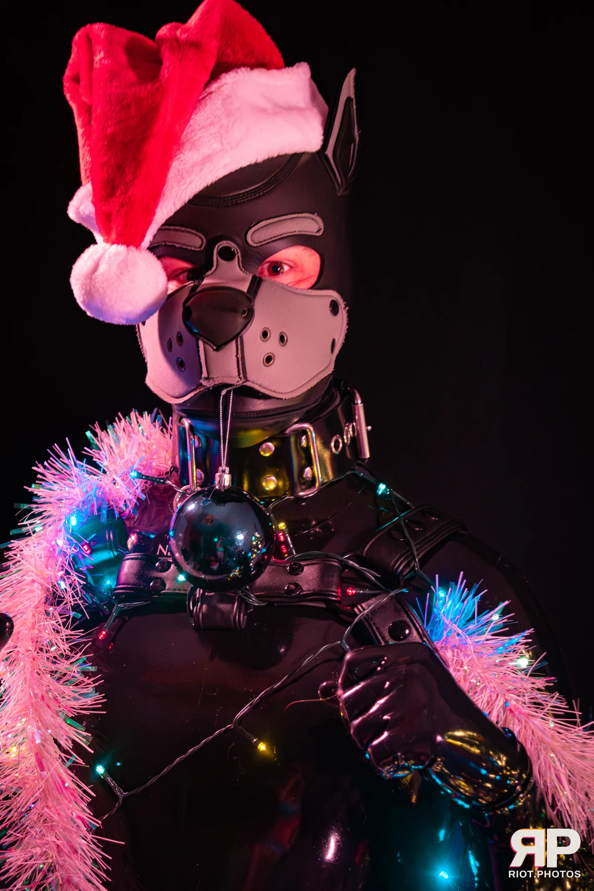 Pup Nathan — furry & pup photography by Fluffy Riot — photo 40