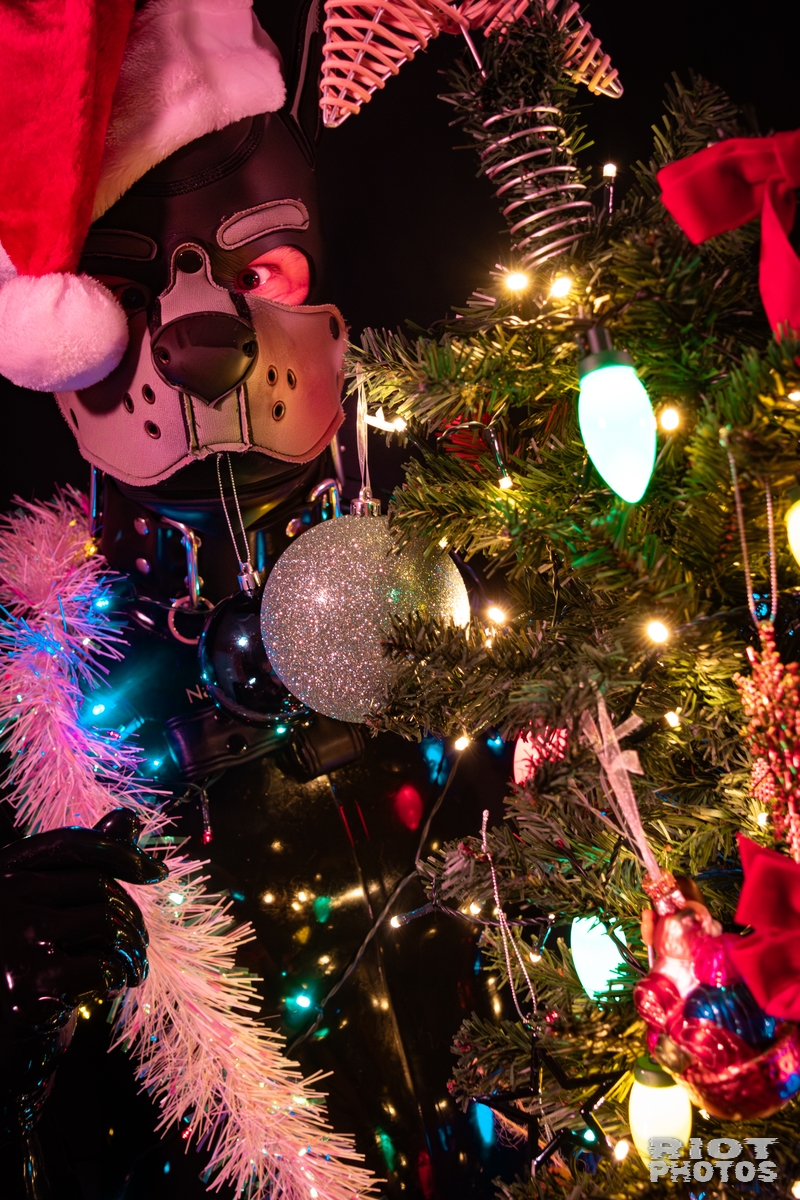 2025-12-05 Pupmas-202512-036.jpg