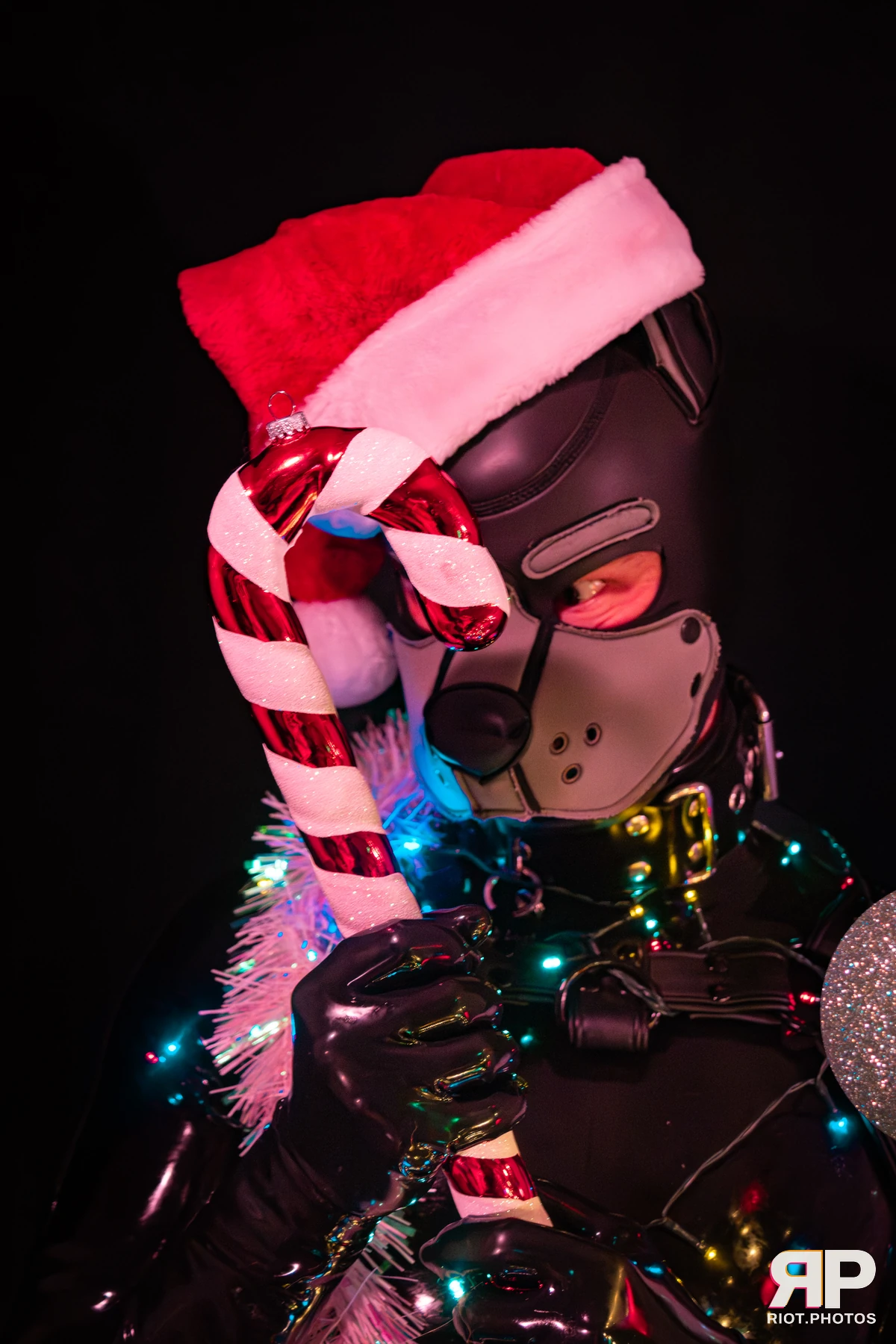 Pup Nathan — furry & pup photography by Fluffy Riot — photo 45