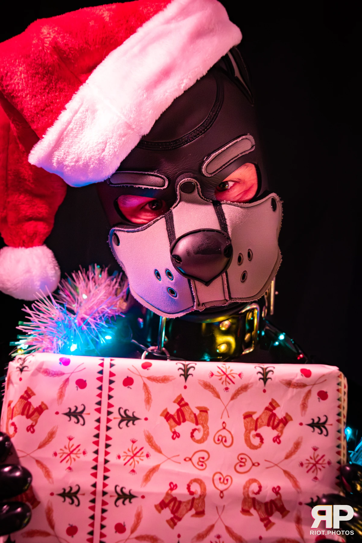 Pup Nathan — furry & pup photography by Fluffy Riot — photo 48