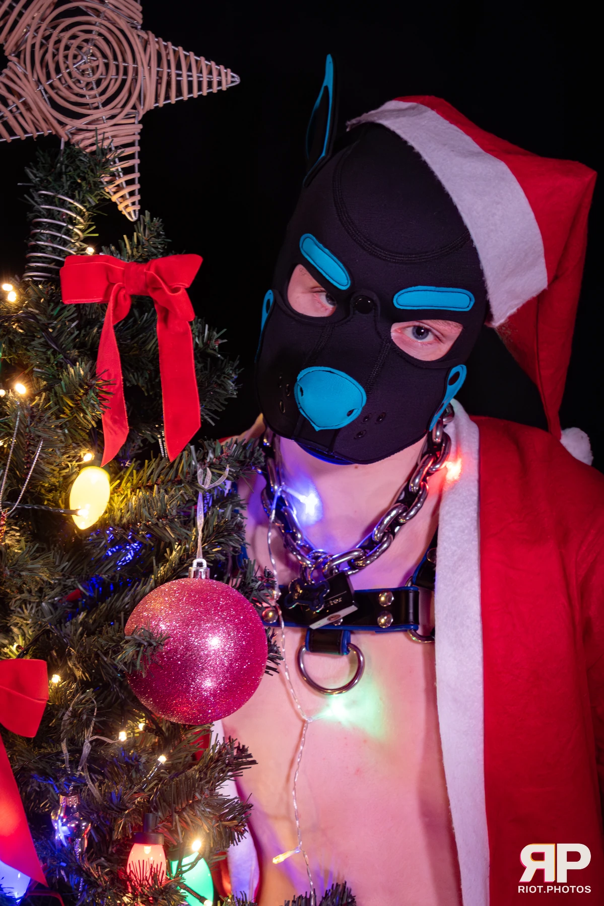 Hyper — furry & pup photography by Fluffy Riot — photo 29