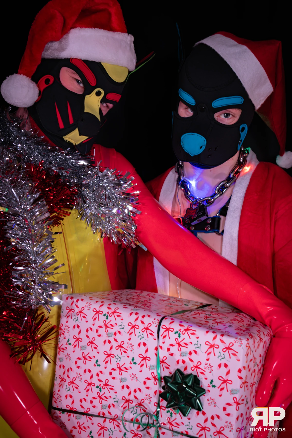 Hyper — furry & pup photography by Fluffy Riot — photo 31