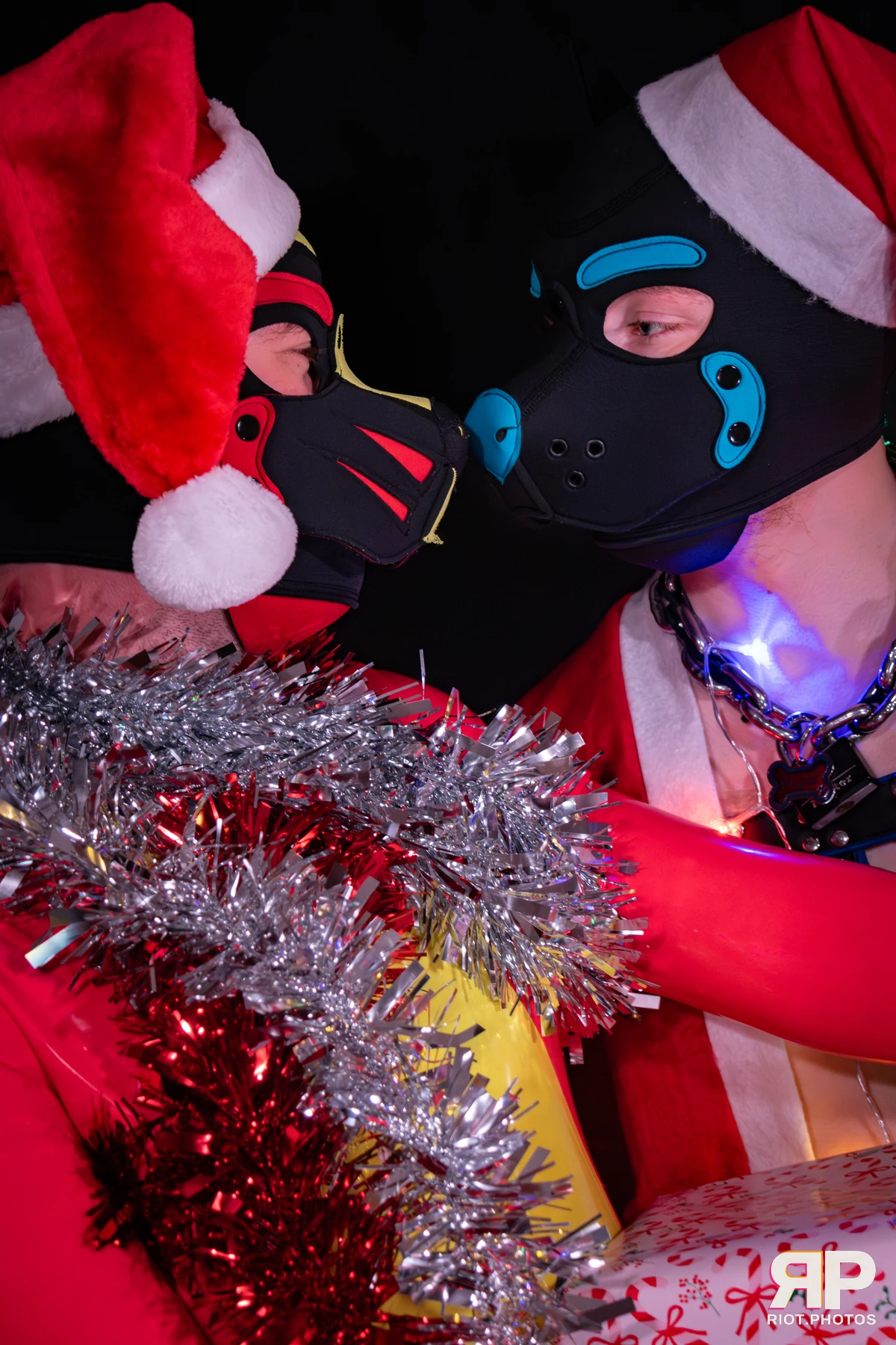 Hyper — furry & pup photography by Fluffy Riot — photo 33
