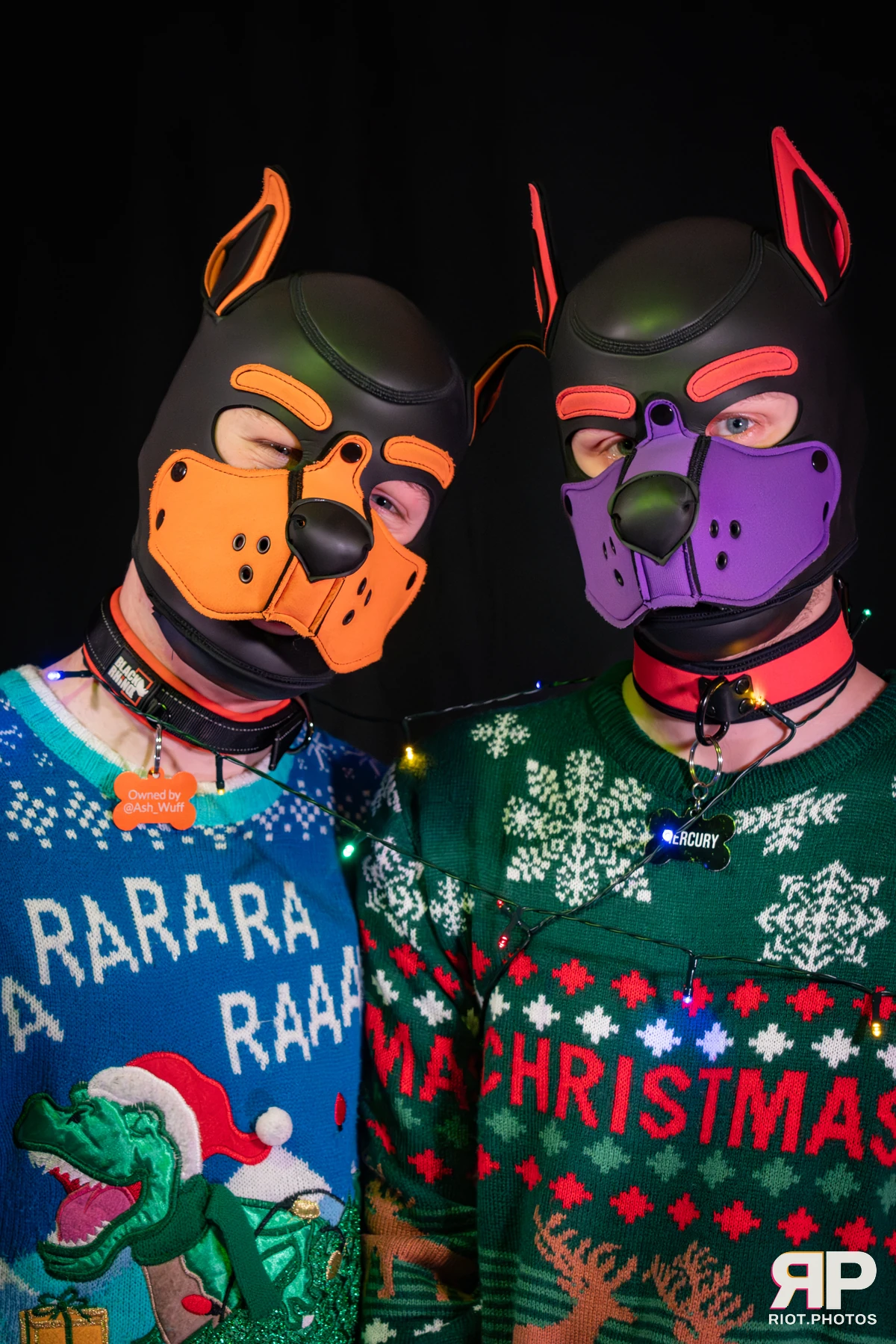 Mercury — furry & pup photography by Fluffy Riot — photo 11