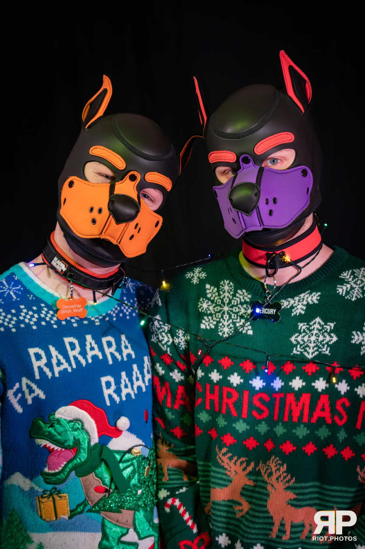 Mercury — furry & pup photography by Fluffy Riot — photo 12