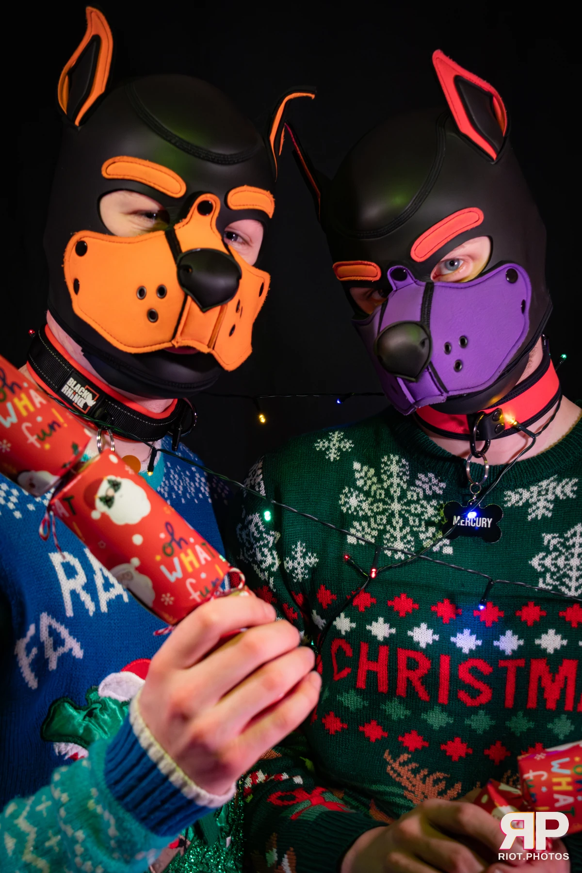 Mercury — furry & pup photography by Fluffy Riot — photo 13
