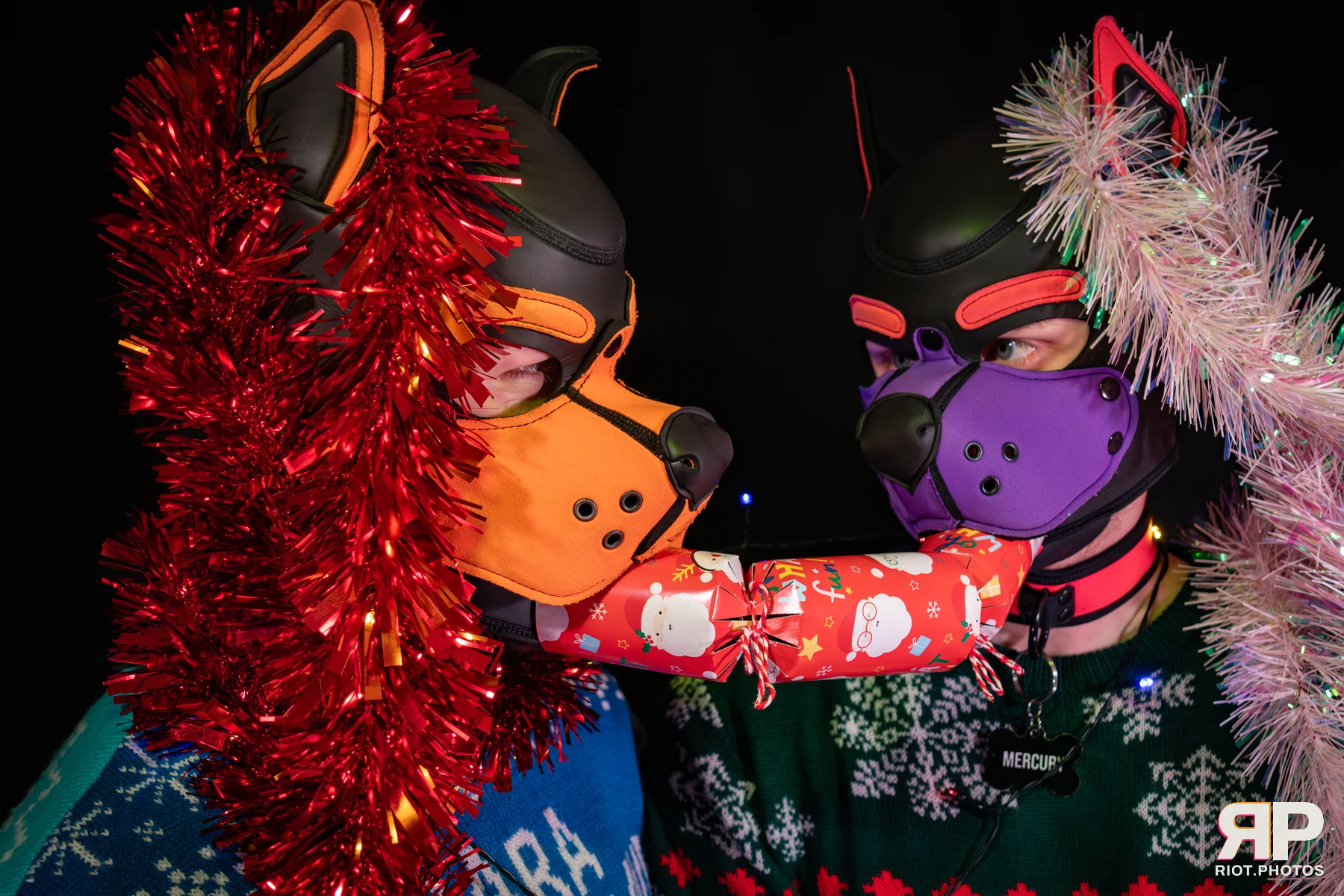 Mercury — furry & pup photography by Fluffy Riot — photo 17