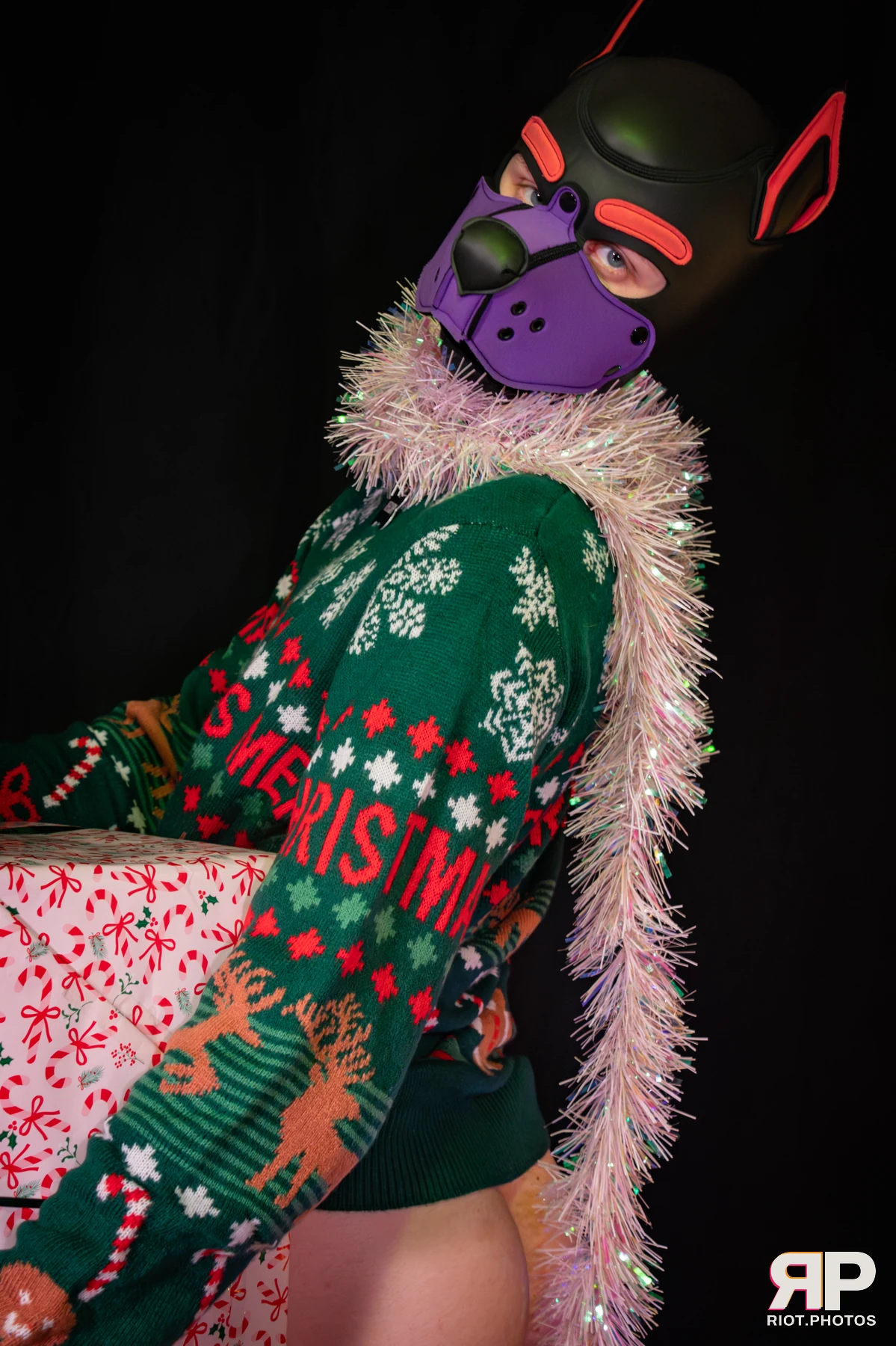 Mercury — furry & pup photography by Fluffy Riot — photo 22