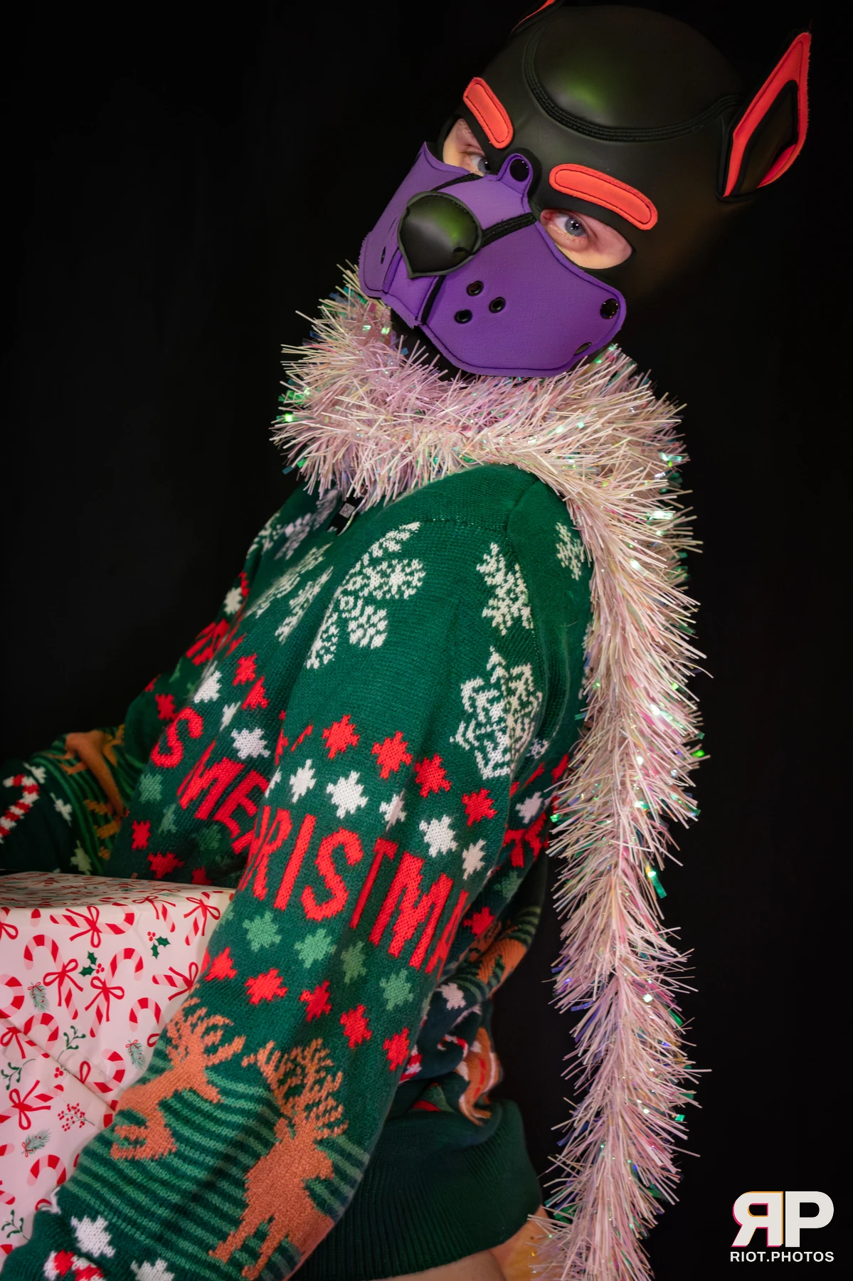 Mercury — furry & pup photography by Fluffy Riot — photo 23