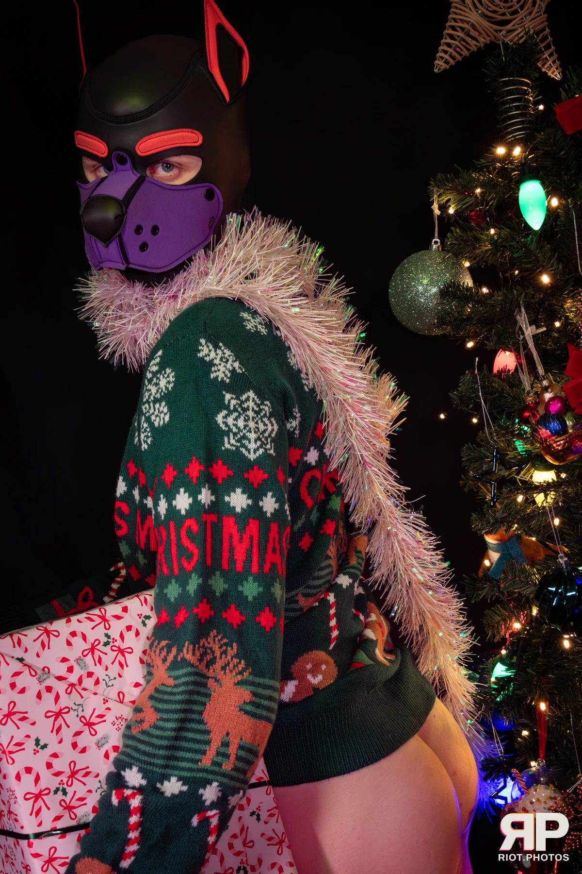 Mercury — furry & pup photography by Fluffy Riot — photo 24
