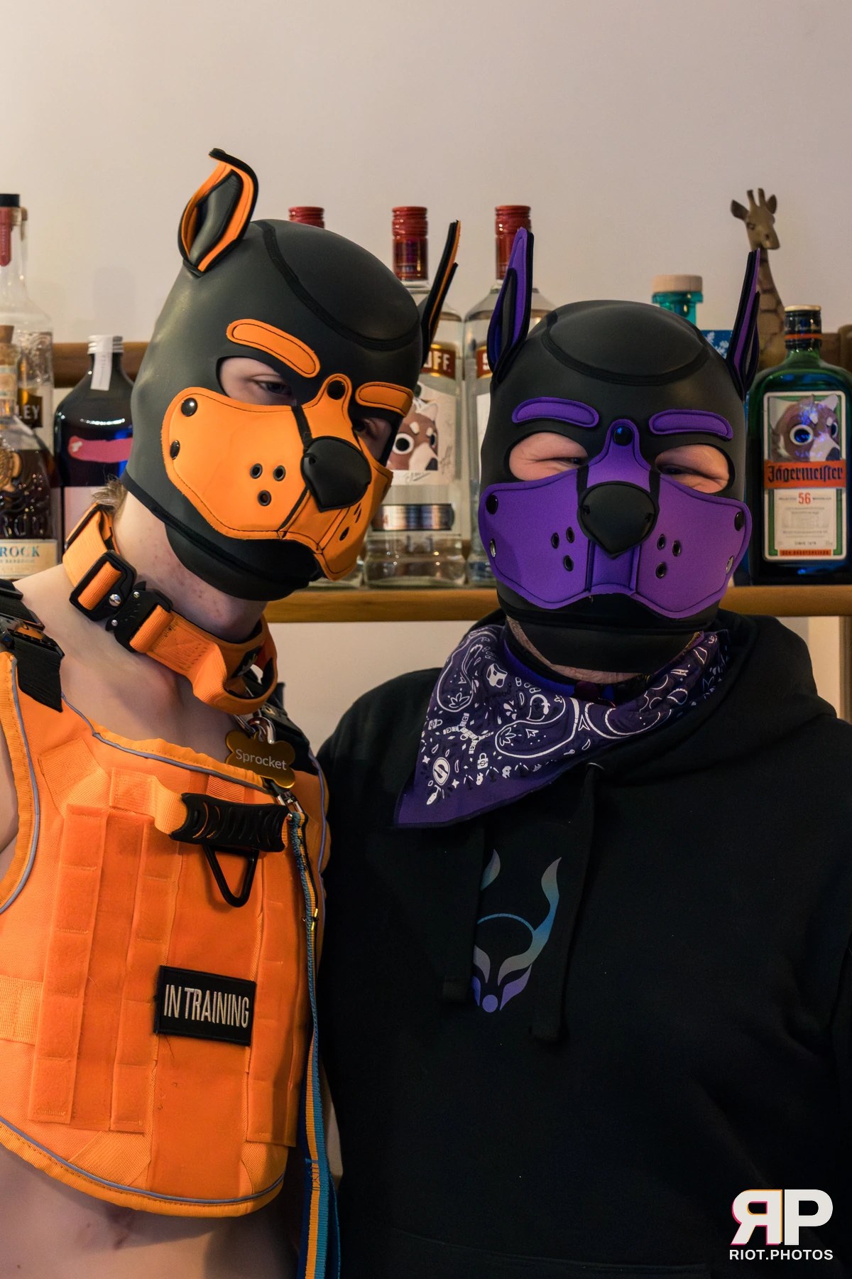 Puppy New Year 2025 — 01 Jan 2026, Fluffy Riot photography — photo 8
