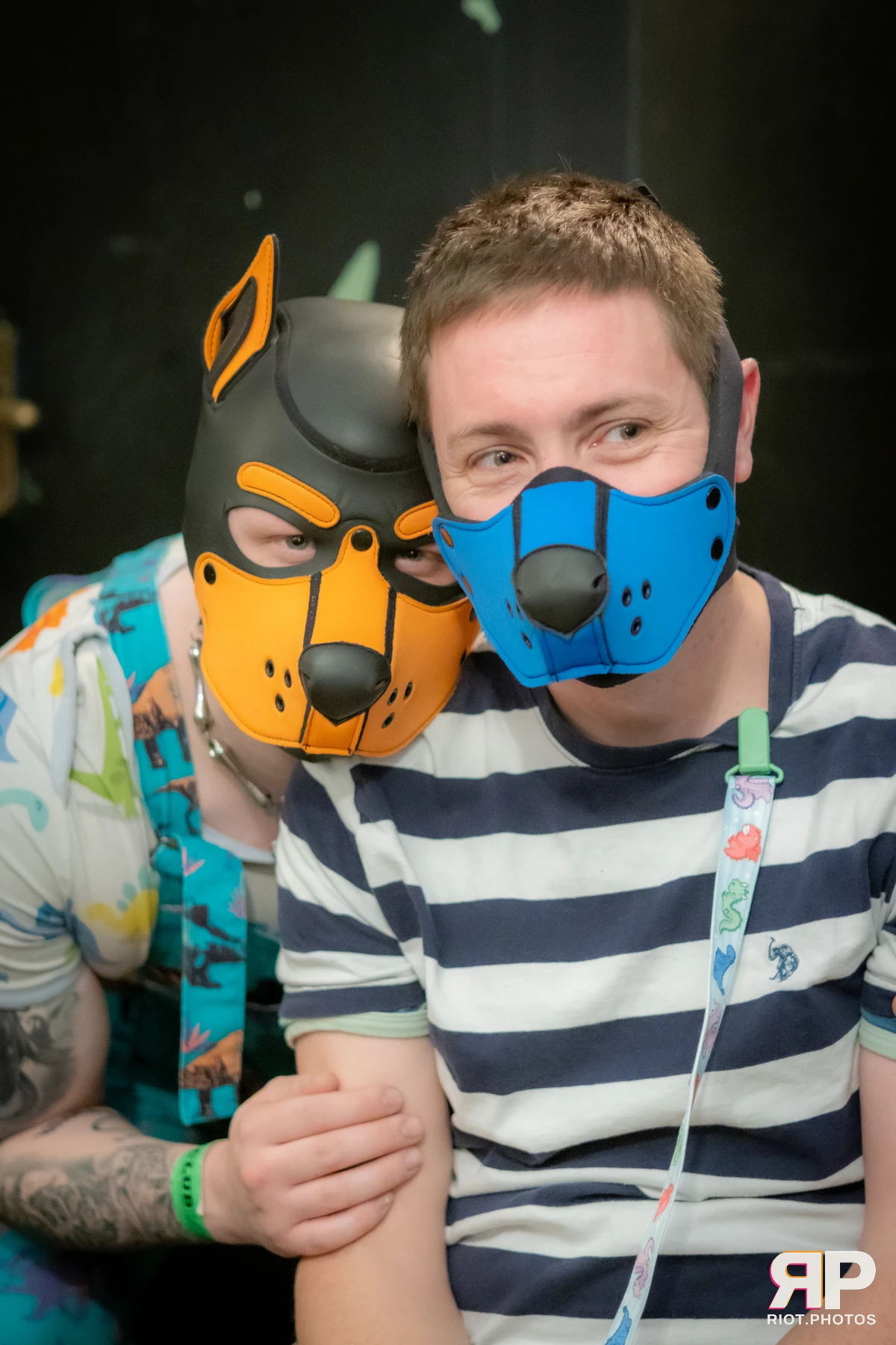 Cynical Pup — furry & pup photography by Fluffy Riot — photo 2