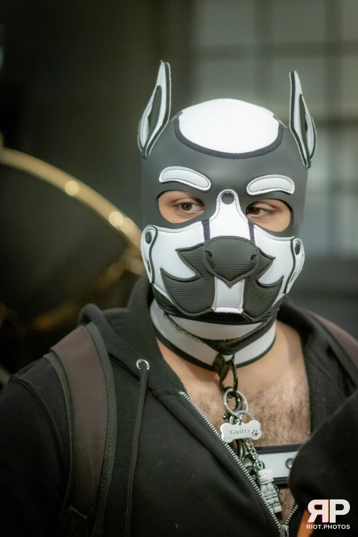 Guilty — furry & pup photography by Fluffy Riot — photo 45