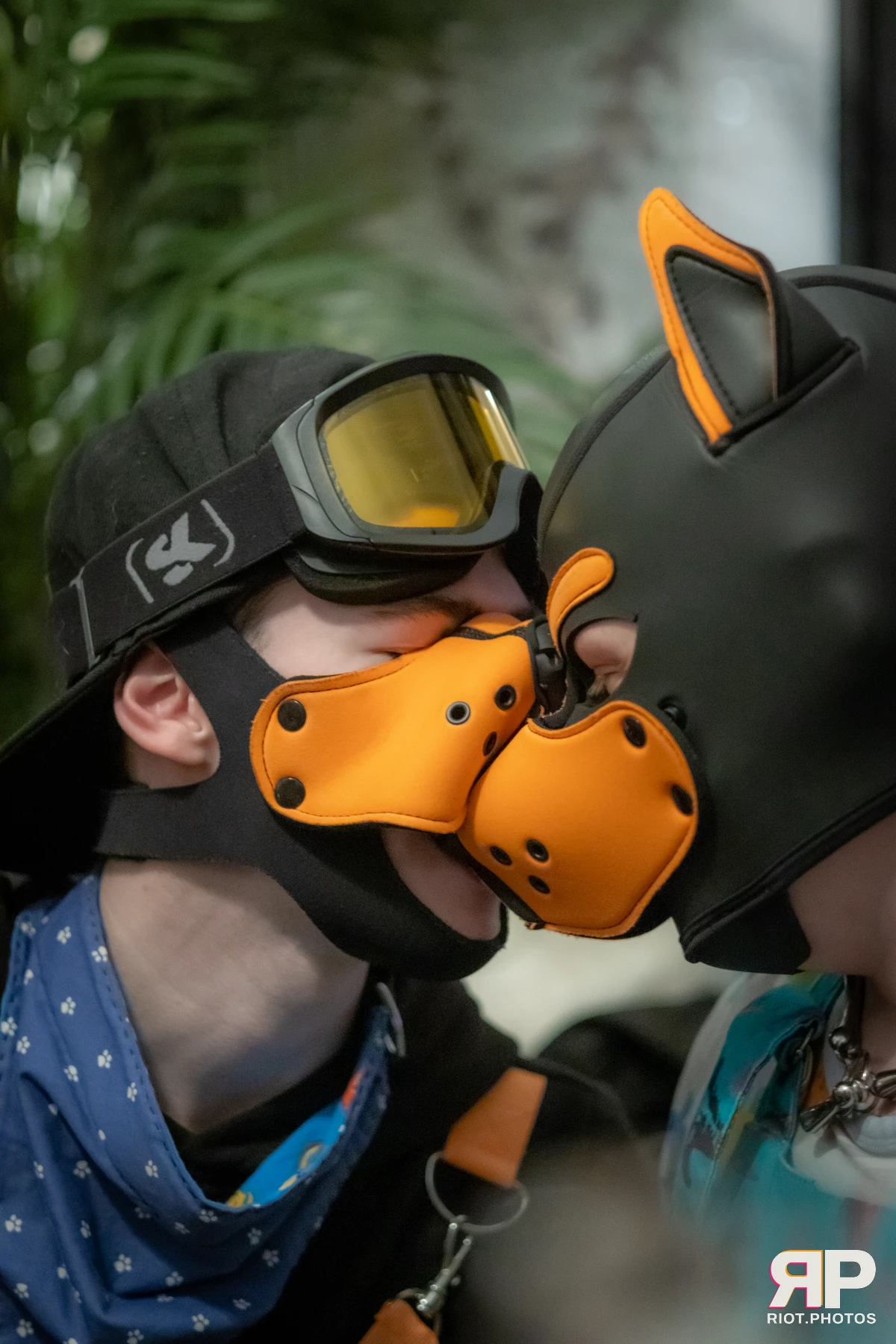 Cynical Pup — furry & pup photography by Fluffy Riot — photo 3