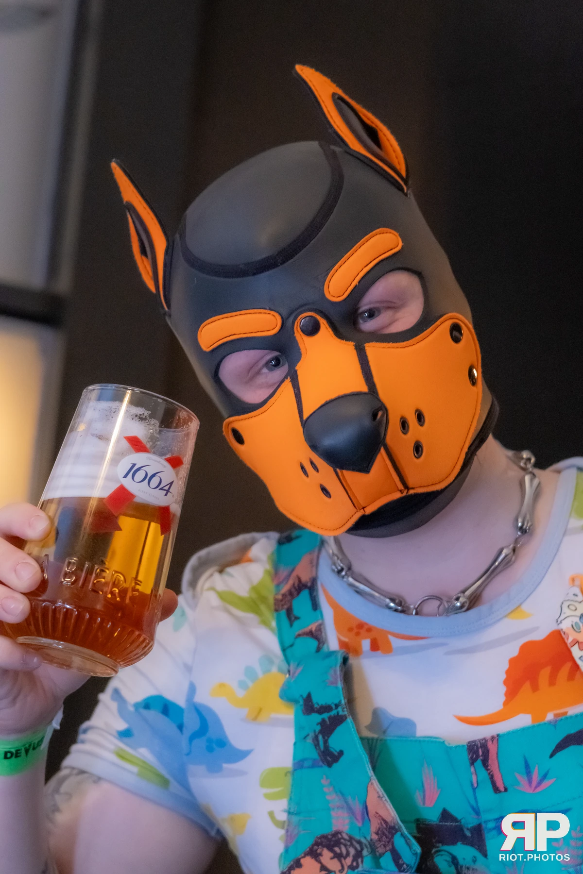 Cynical Pup — furry & pup photography by Fluffy Riot — photo 4