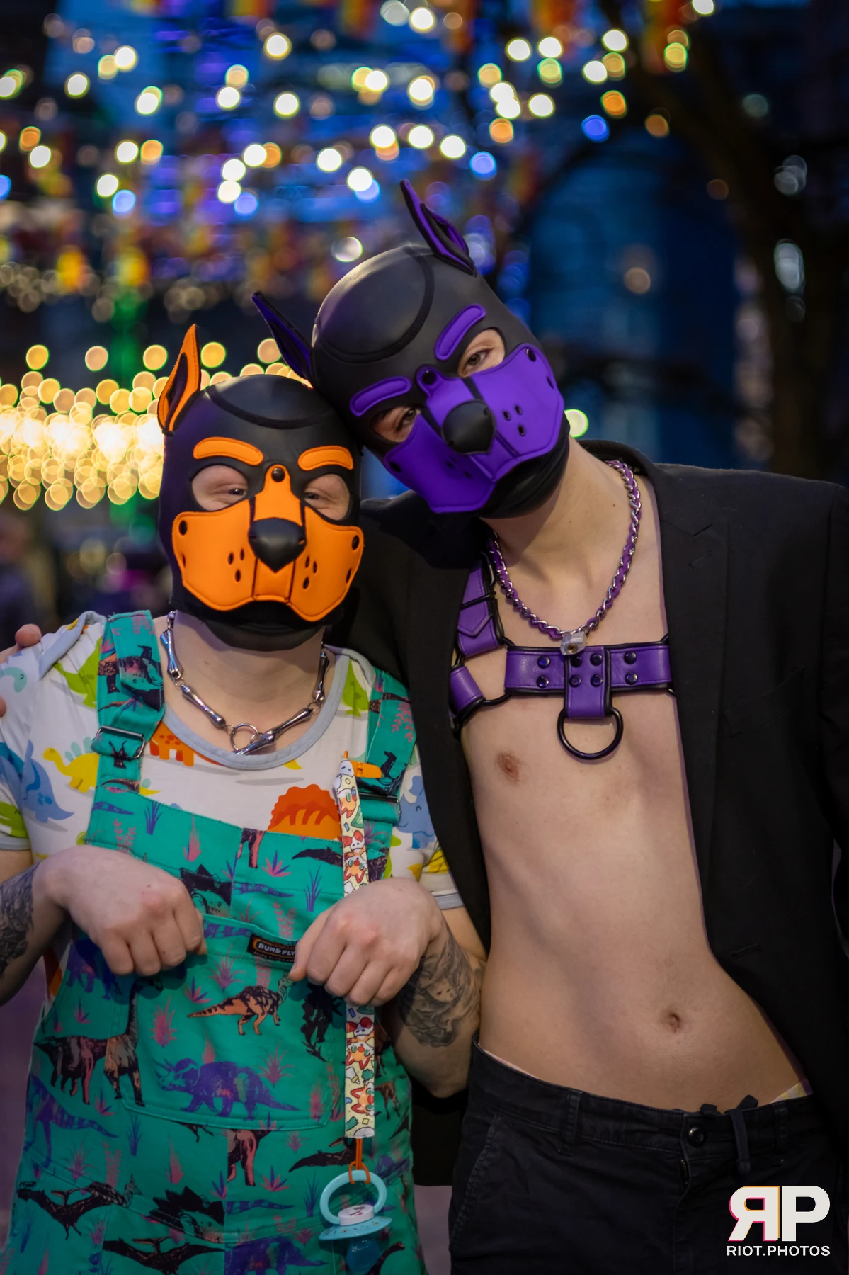 Cynical Pup — furry & pup photography by Fluffy Riot — photo 5