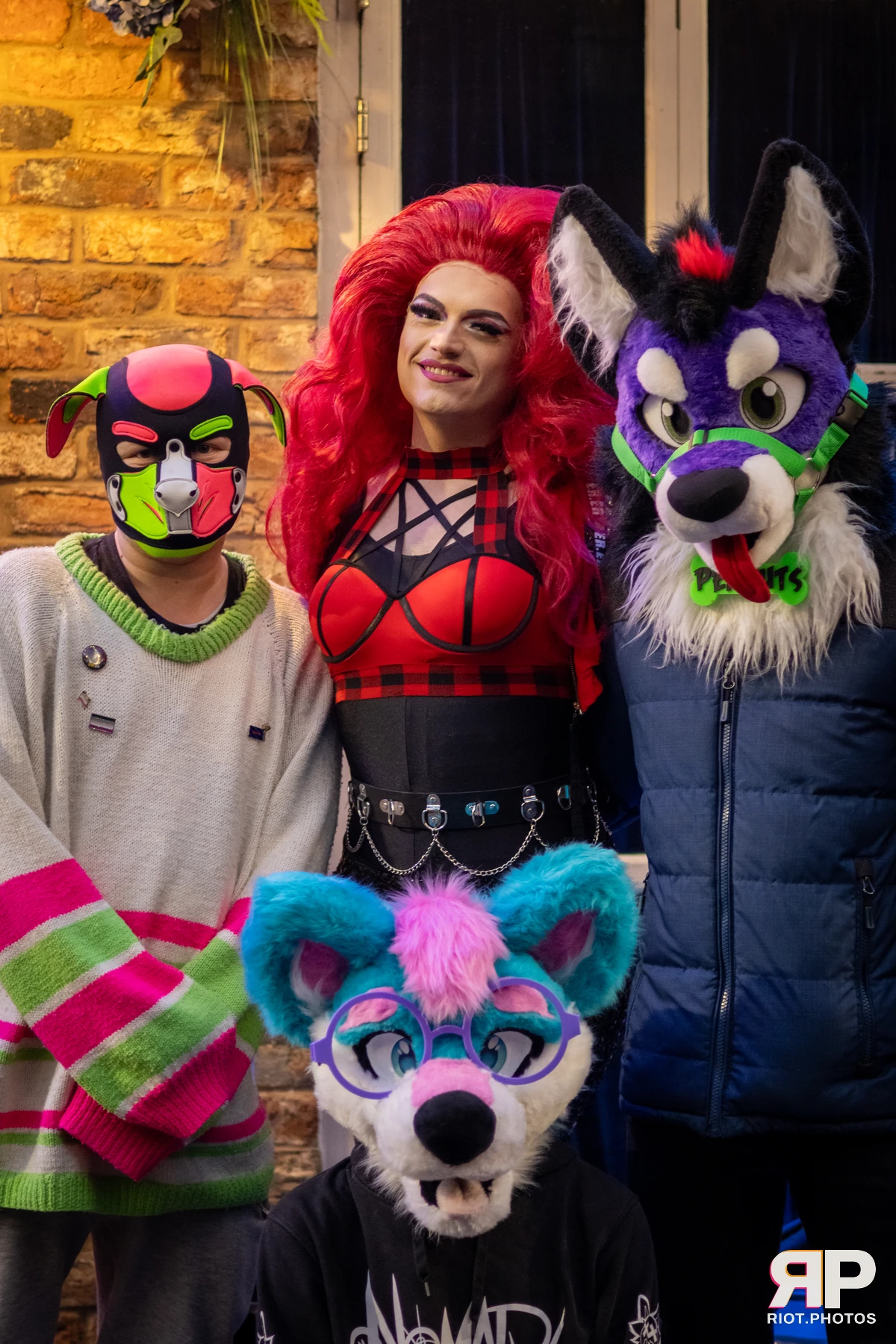 Trix With A Twix (aka T.W.A.T) — furry & pup photography by Fluffy Riot — photo 30