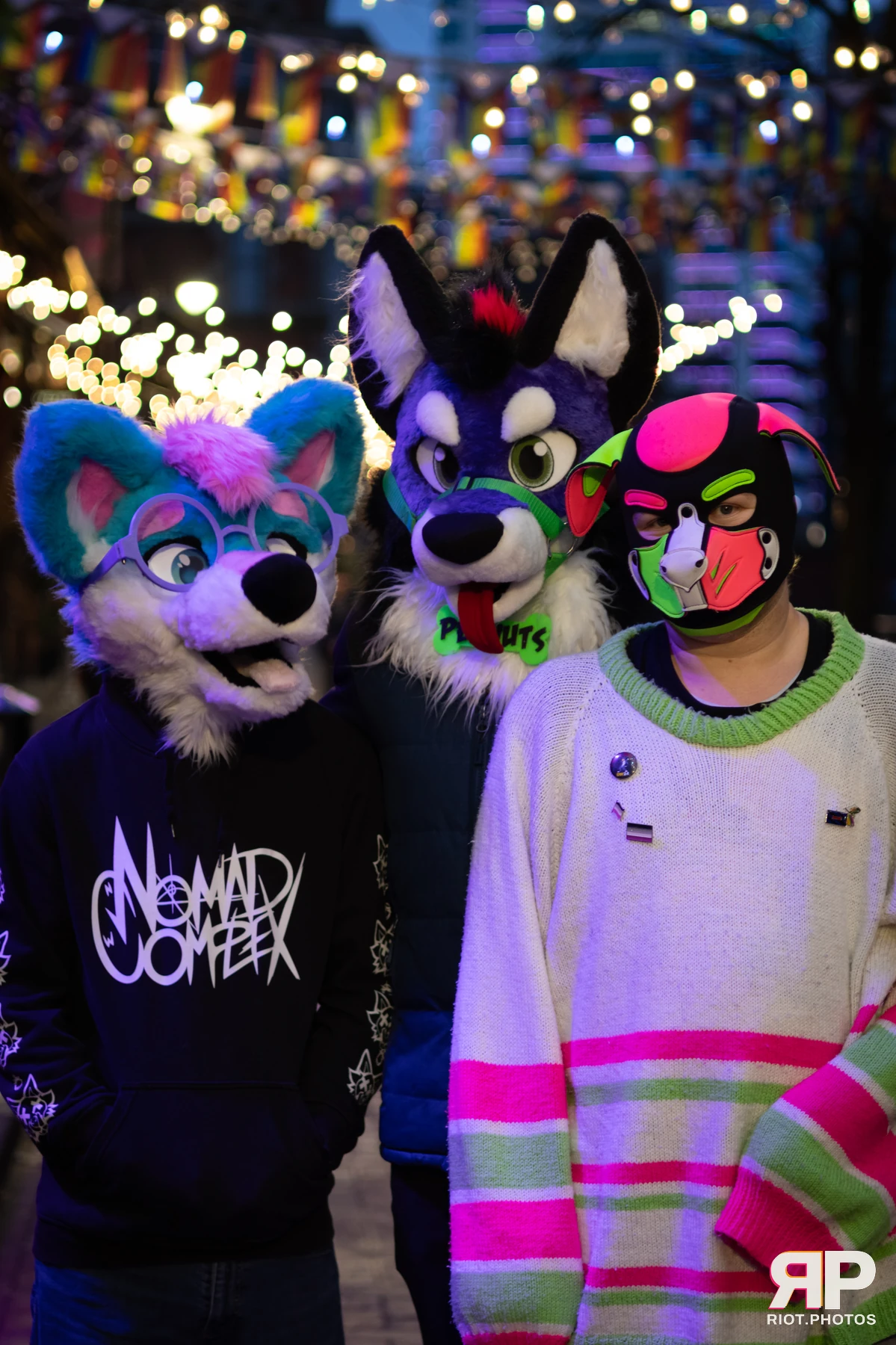 Trix With A Twix (aka T.W.A.T) — furry & pup photography by Fluffy Riot — photo 32