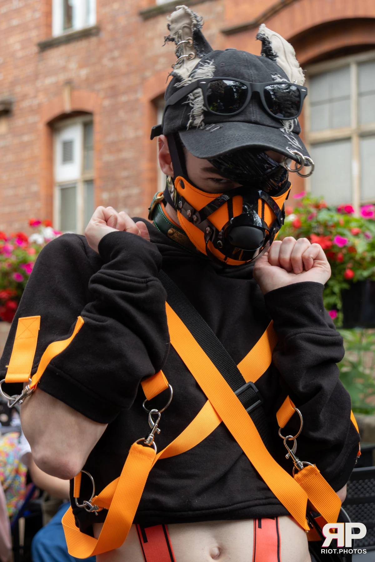 Village with Pups - July, 2025 — 31 Jul 2025, Fluffy Riot photography — photo 14