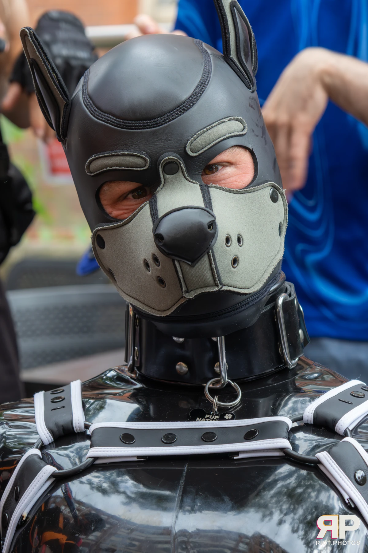 Pup Nathan — furry & pup photography by Fluffy Riot — photo 122