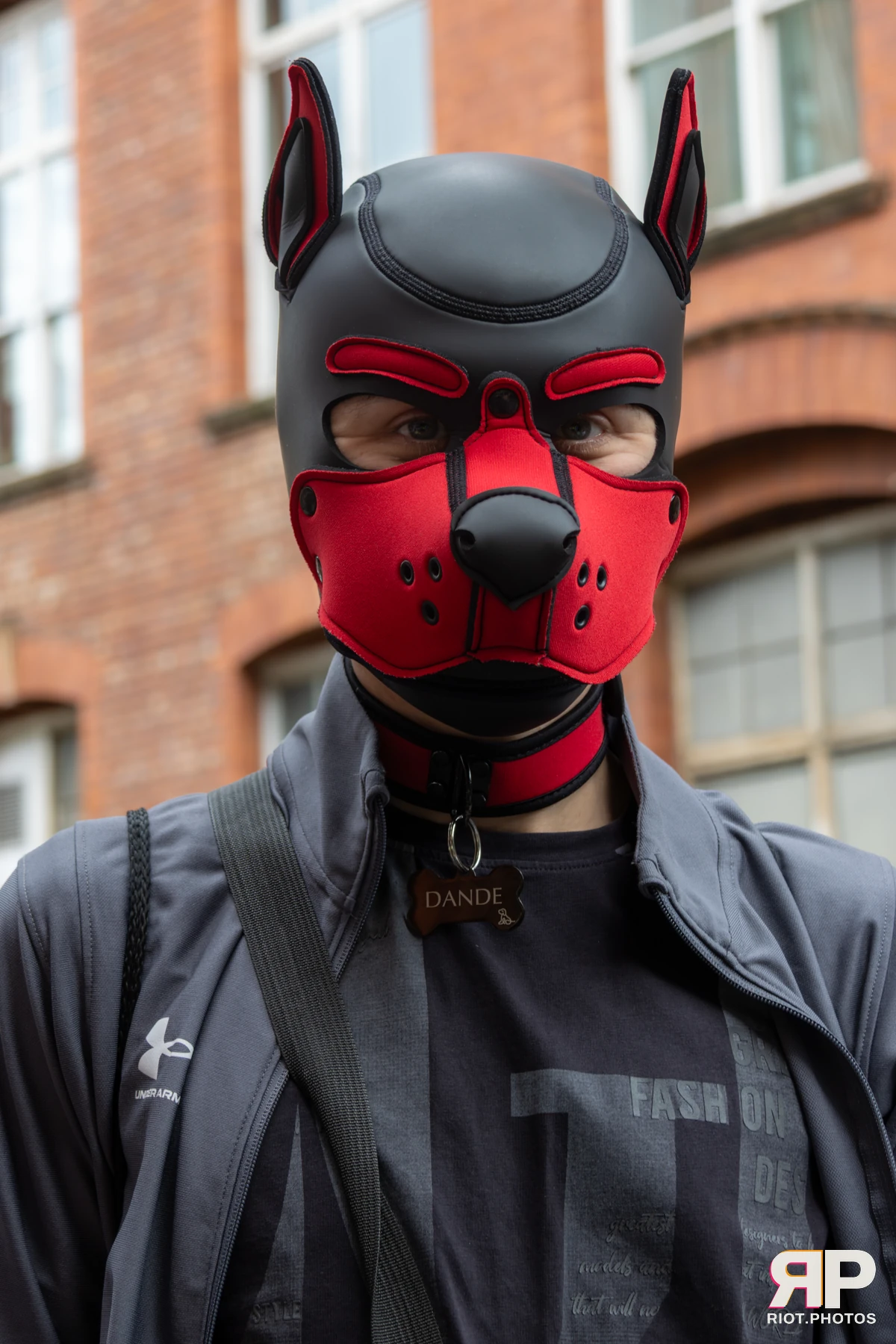 Pup Dande — furry & pup photography by Fluffy Riot — photo 59