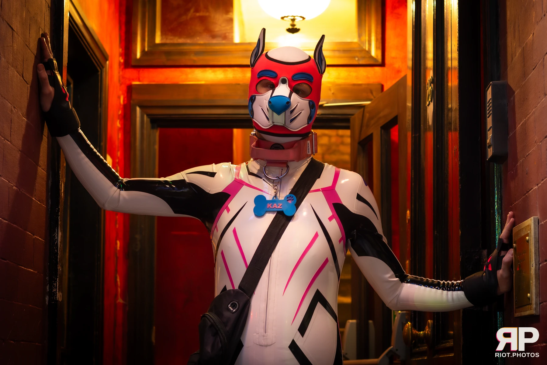 Pup Kaz — furry & pup photography by Fluffy Riot — photo 13