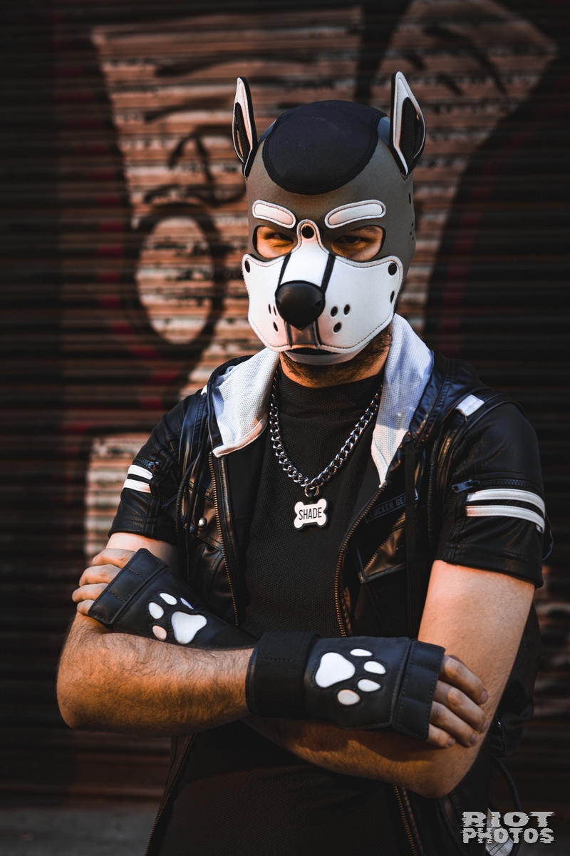 Village with Pups - August, 2026 — 21 Aug 2026, Fluffy Riot photography — photo 12