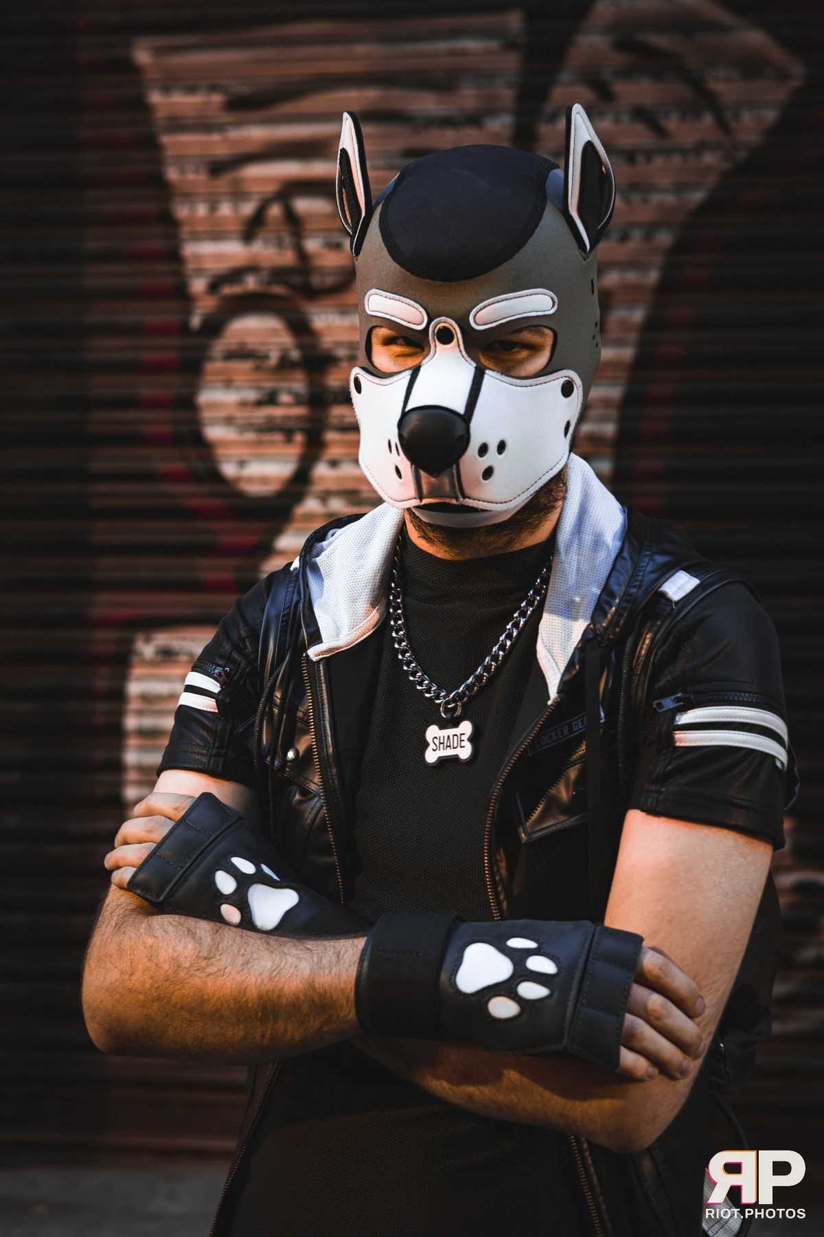 Shade — furry & pup photography by Fluffy Riot — photo 5