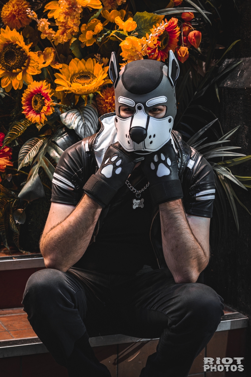 Village with Pups - August, 2026 — 21 Aug 2026, Fluffy Riot photography — photo 13