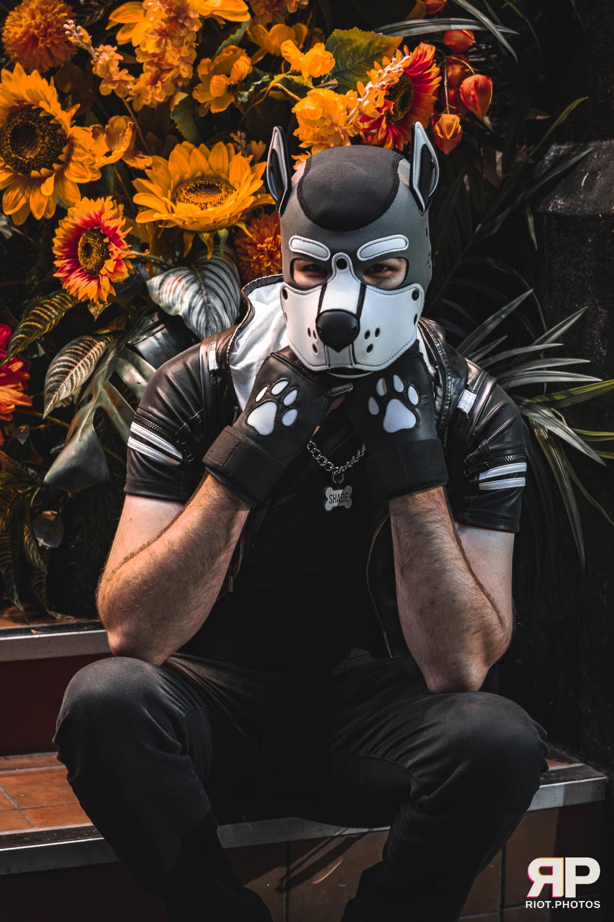 Shade — furry & pup photography by Fluffy Riot — photo 6