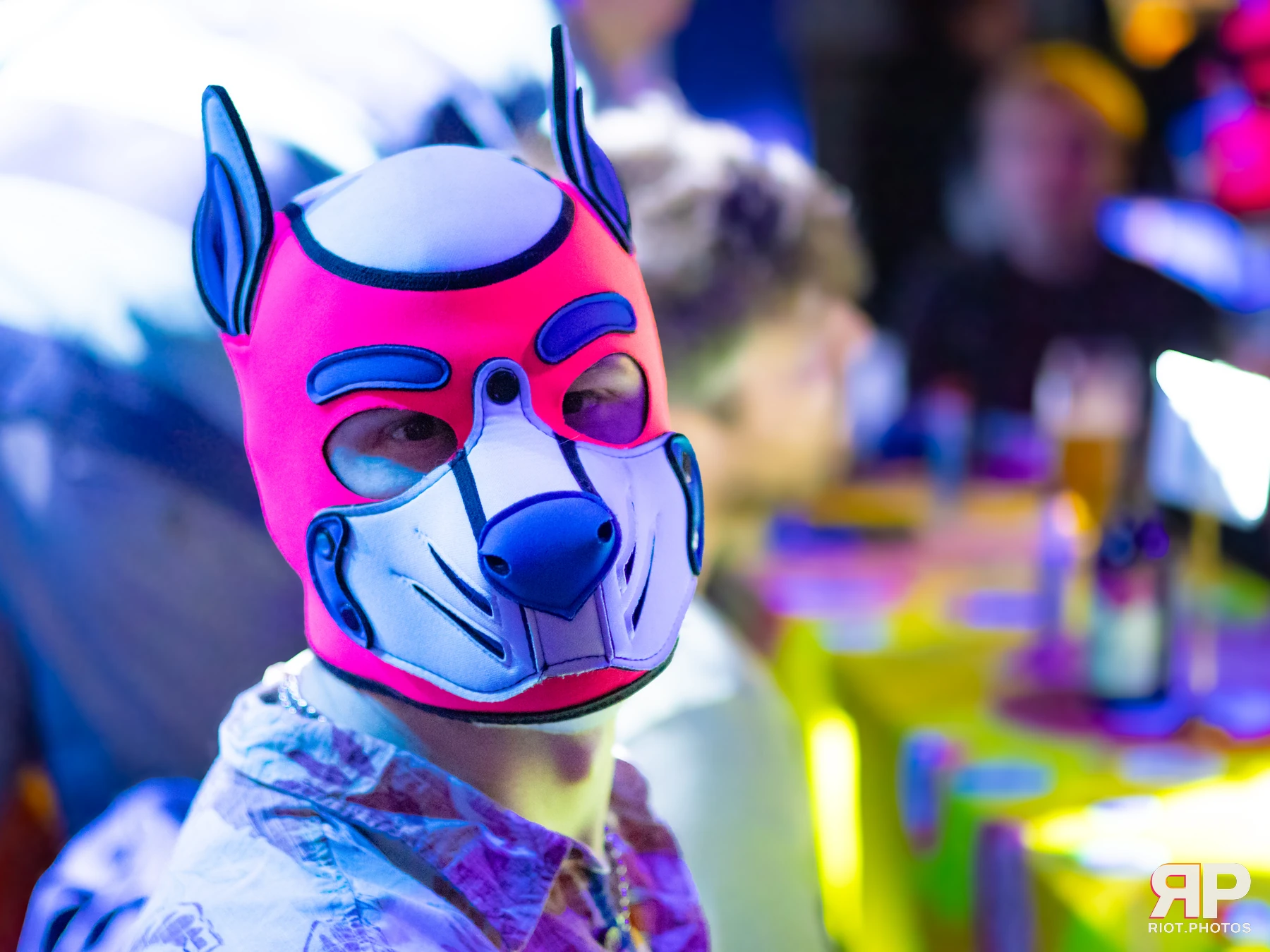 Pup Kaz — furry & pup photography by Fluffy Riot — photo 501