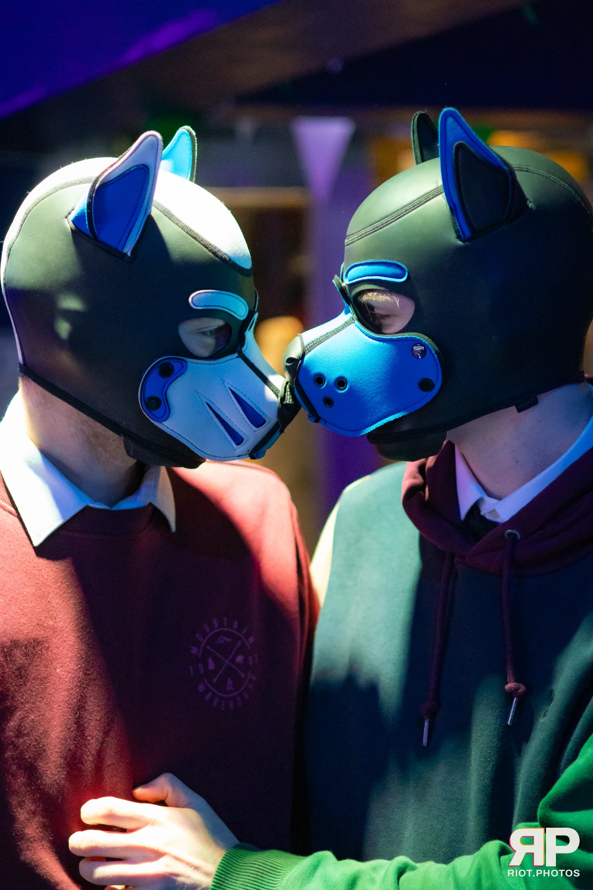 Zaff — furry & pup photography by Fluffy Riot — photo 129