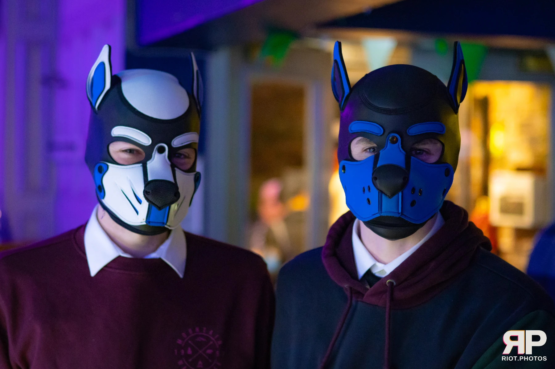 Zaff — furry & pup photography by Fluffy Riot — photo 131