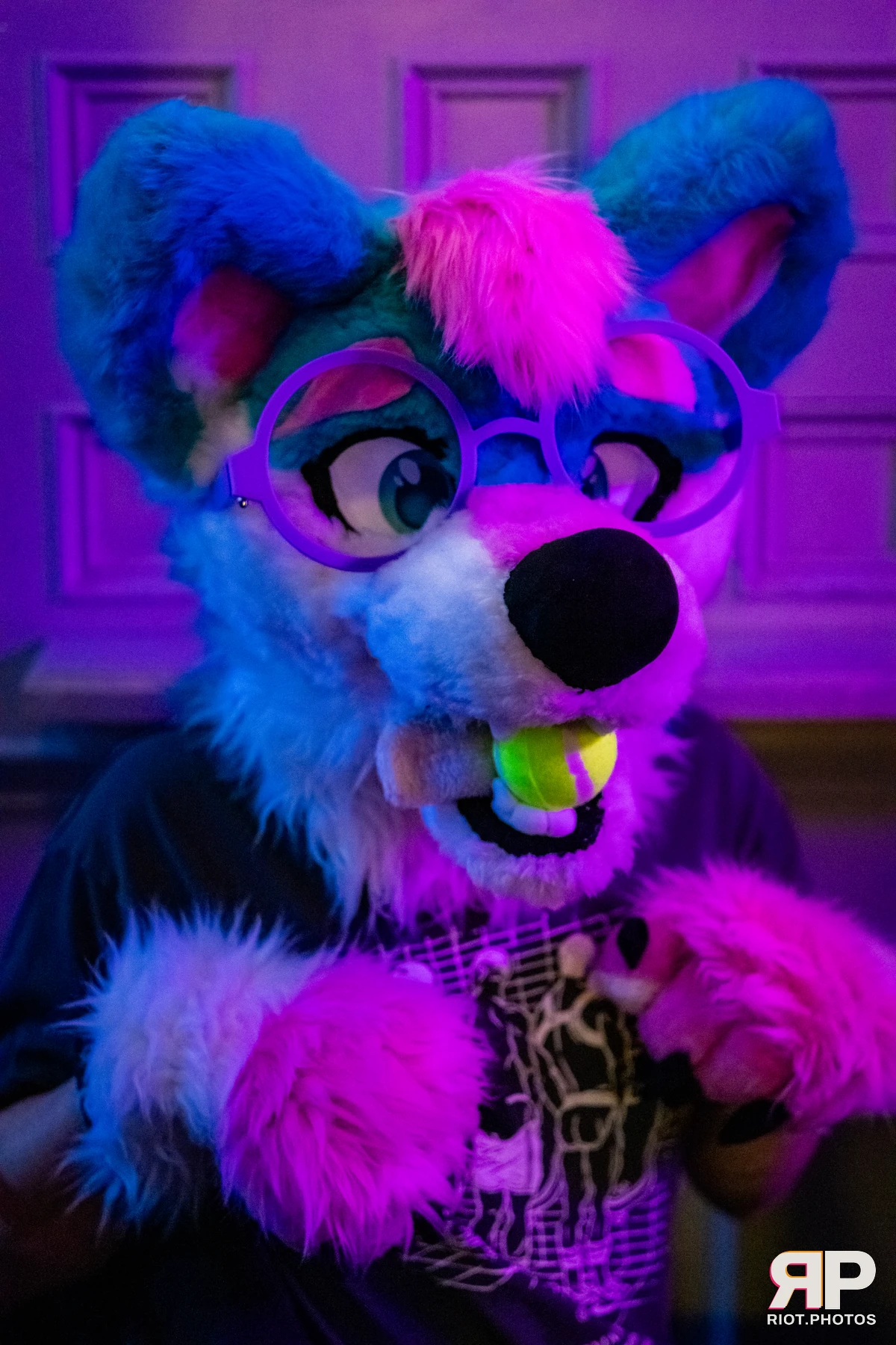 Pup Kaz — furry & pup photography by Fluffy Riot — photo 497