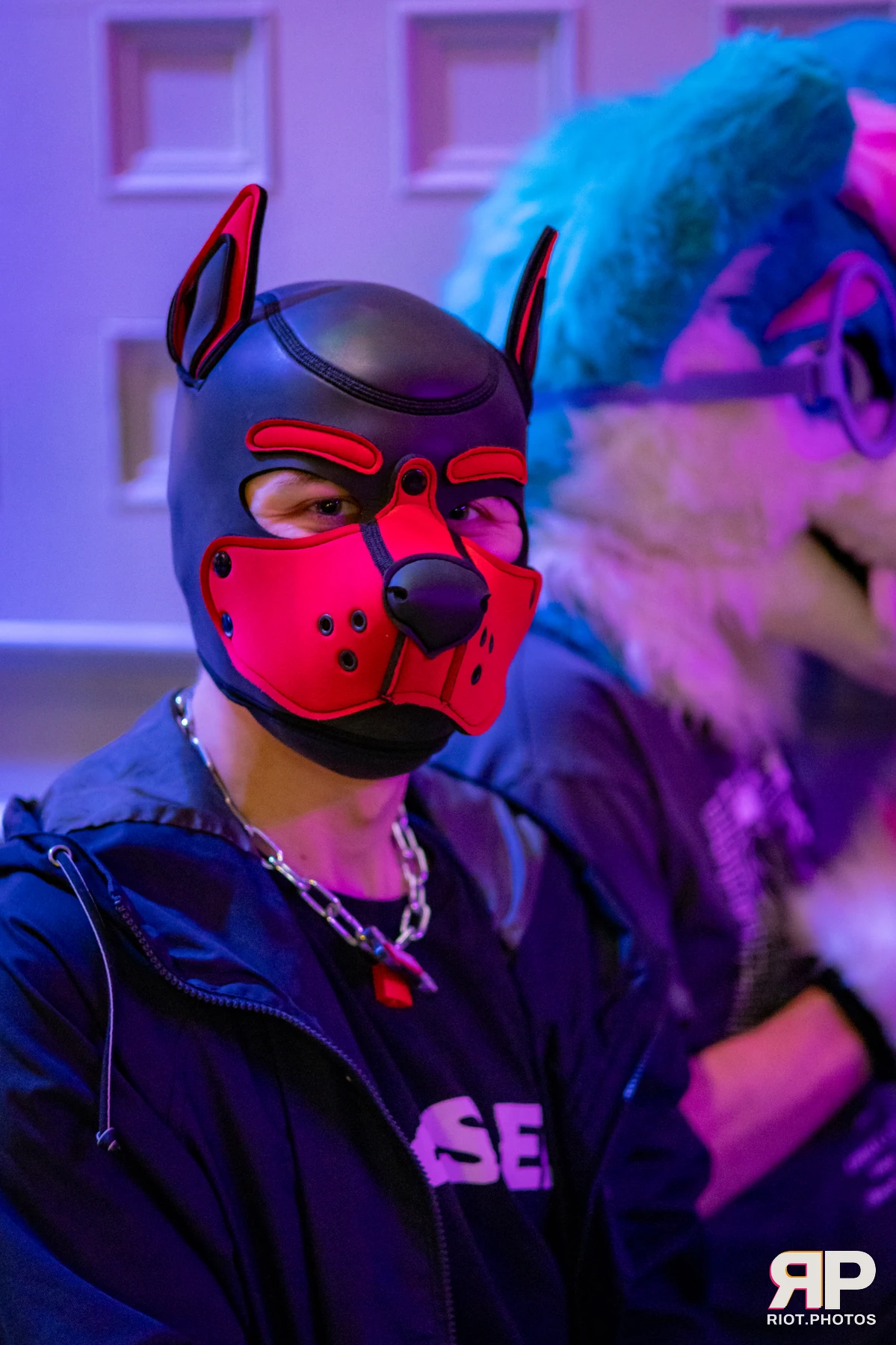 Pup Dande — furry & pup photography by Fluffy Riot — photo 86