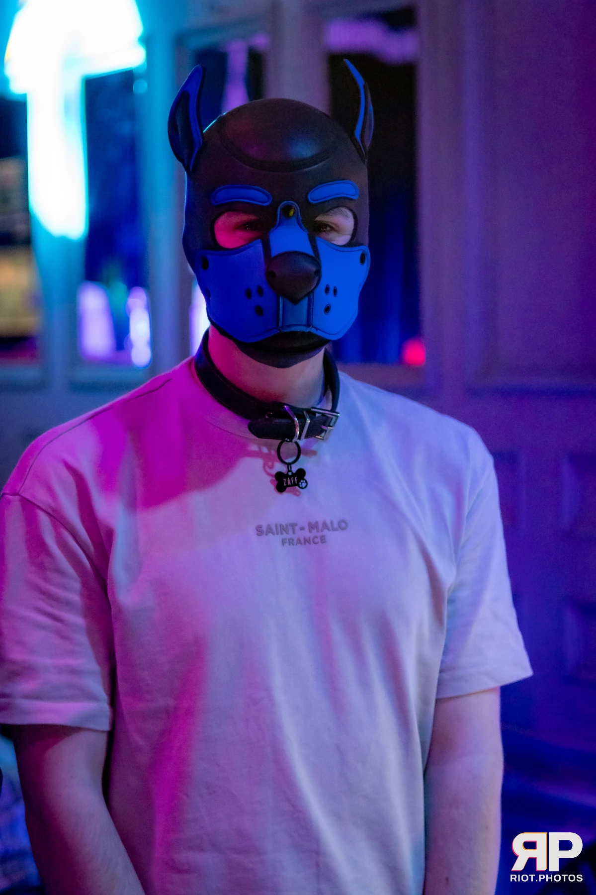 Zaff — furry & pup photography by Fluffy Riot — photo 128