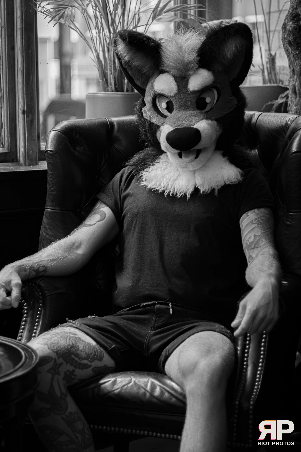 Pup Nathan — furry & pup photography by Fluffy Riot — photo 164