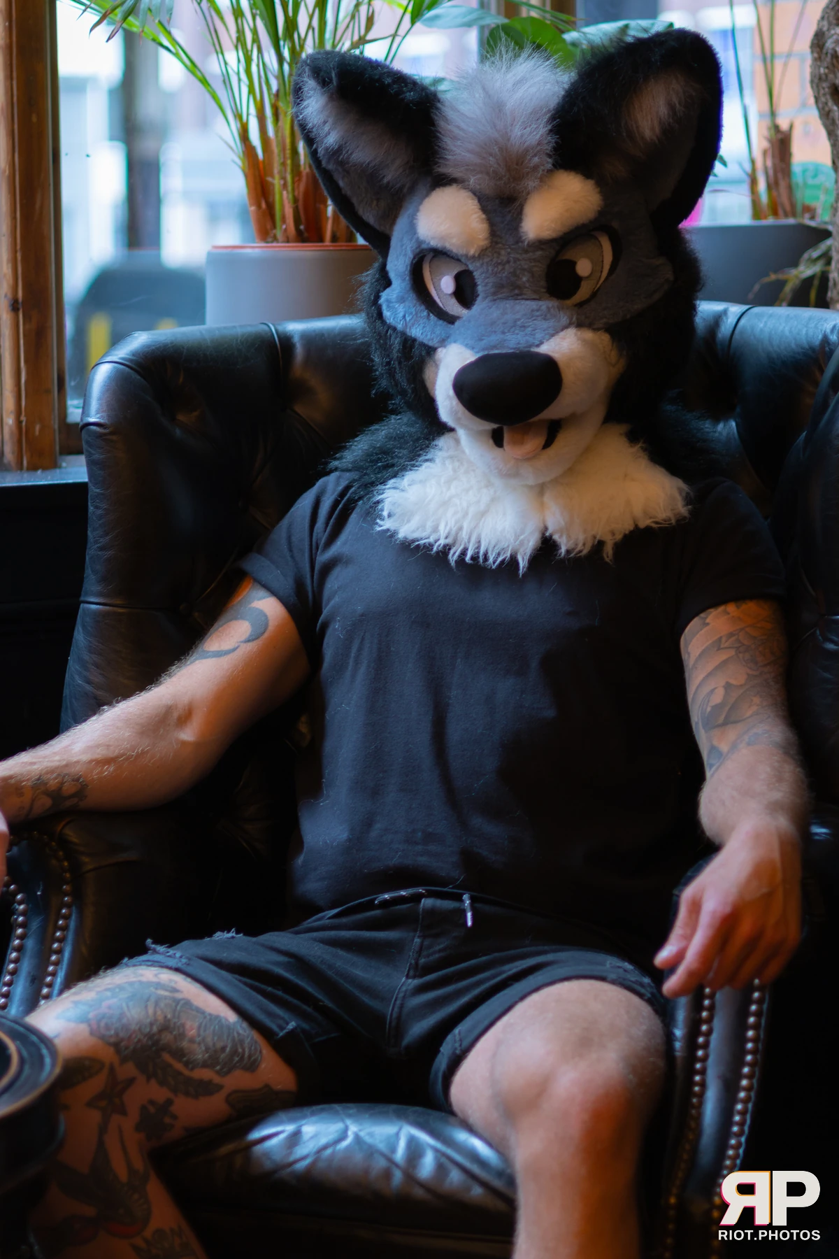 Pup Nathan — furry & pup photography by Fluffy Riot — photo 165