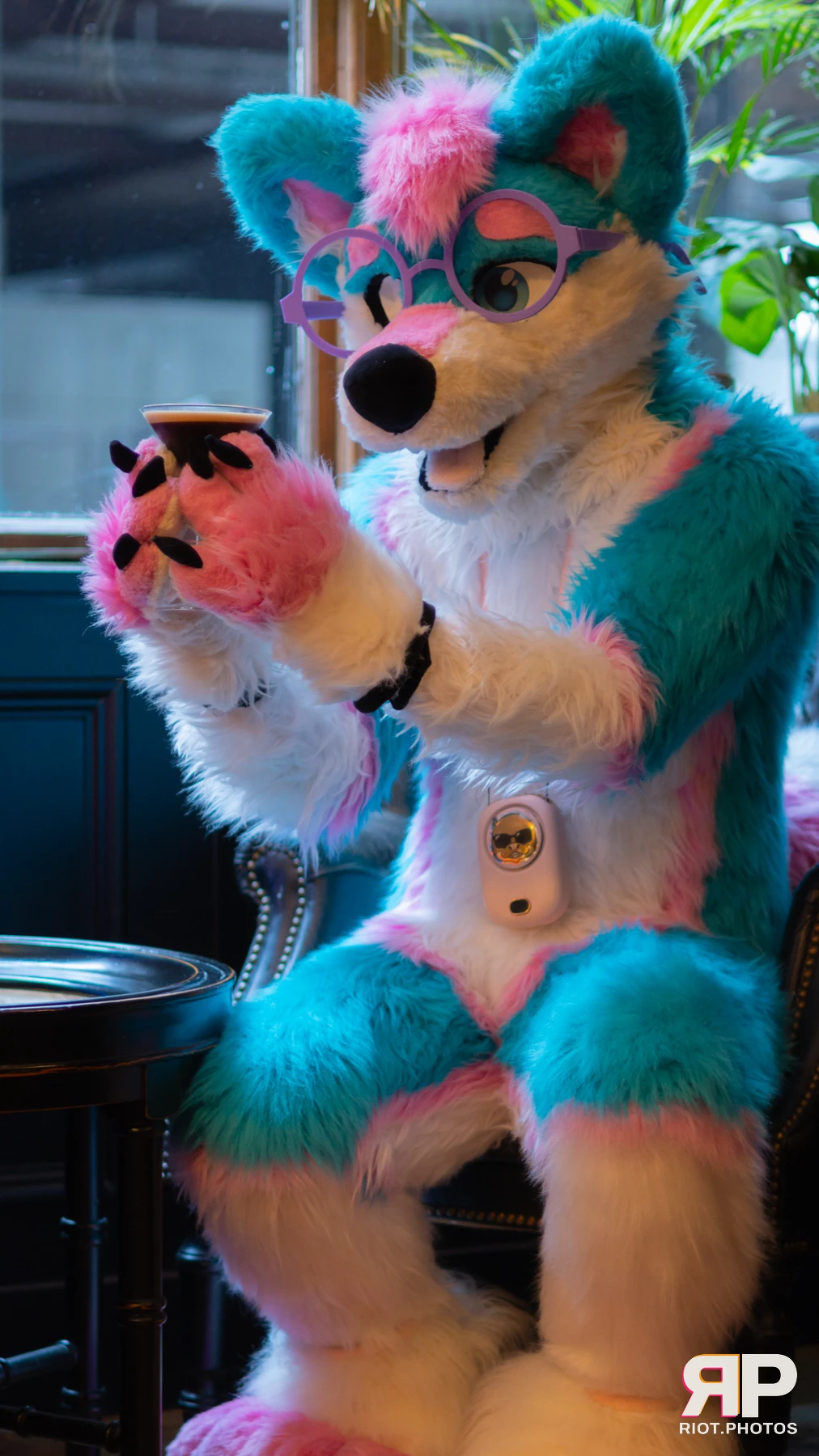 Pup Kaz — furry & pup photography by Fluffy Riot — photo 468