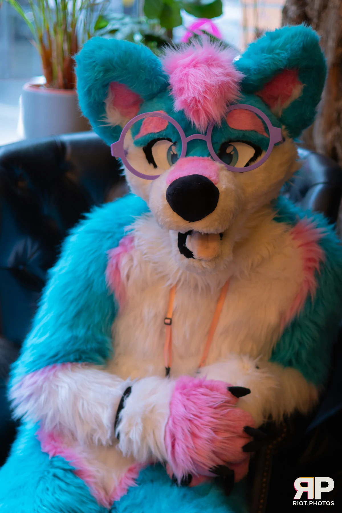 Pup Kaz — furry & pup photography by Fluffy Riot — photo 470